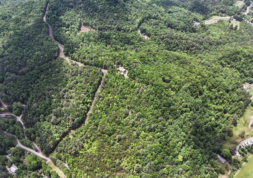 Blairsville, Georgia, 30512, United States, ,Residential,For Sale,1824066