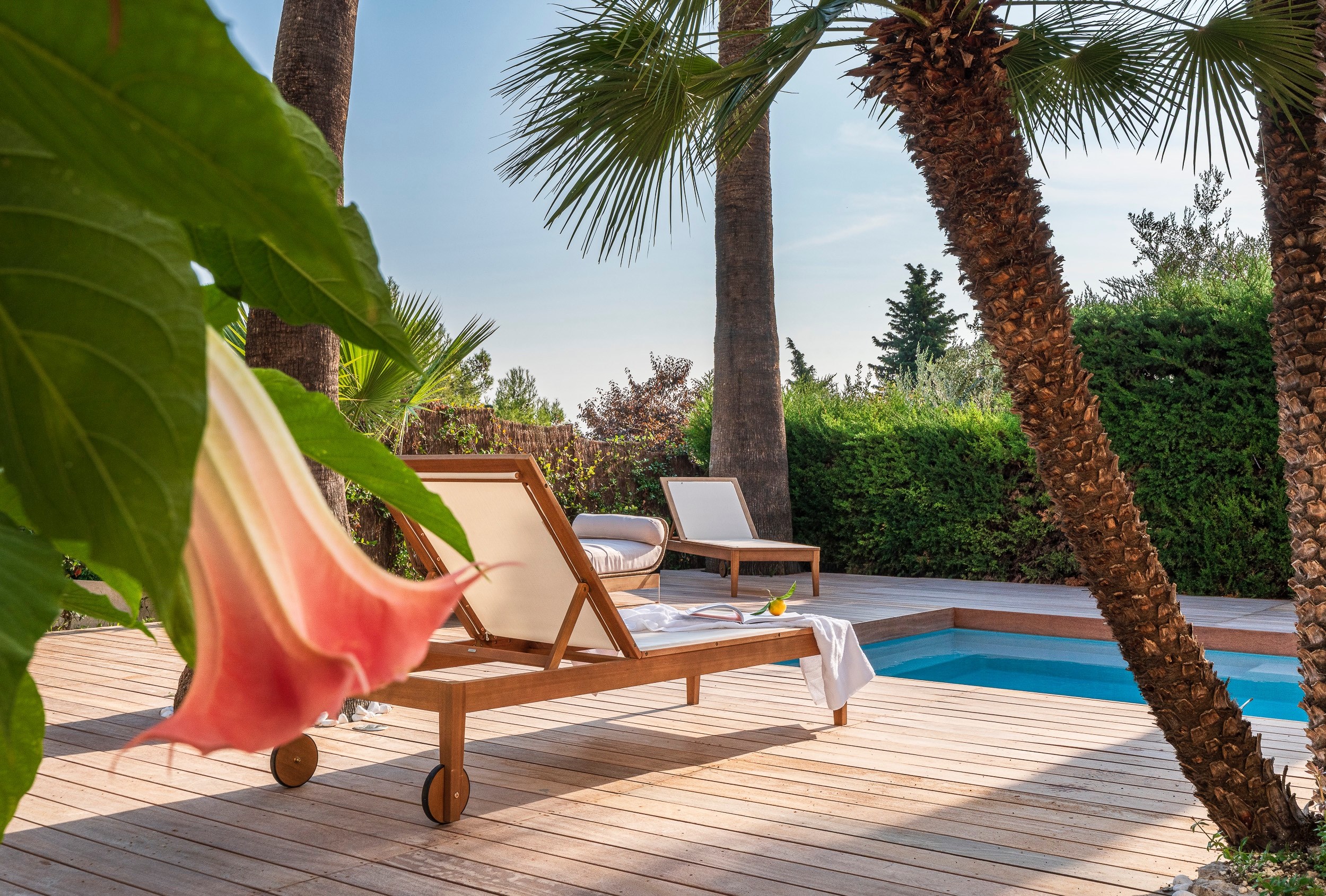  Renovated contemporary villa with pool near Monaco in Roquebrune-Cap-Martin - 物件實景