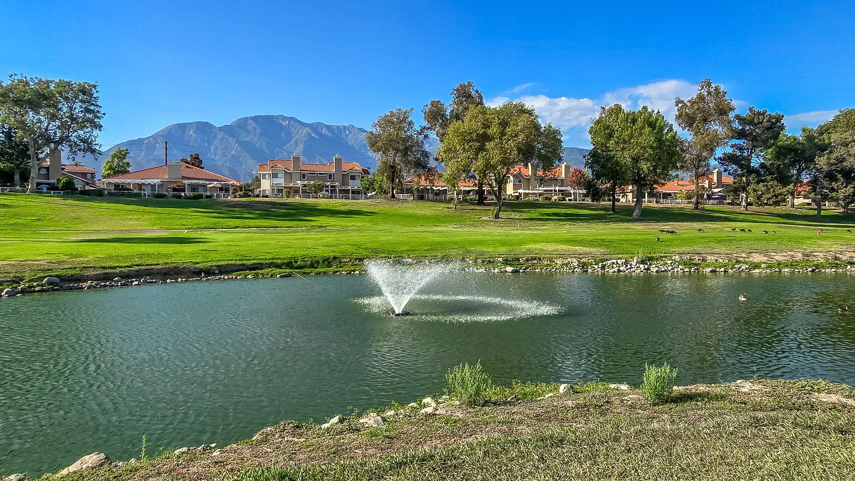 1209 Upland Hills Drive South, Upland, CA 91786 - 物件實景