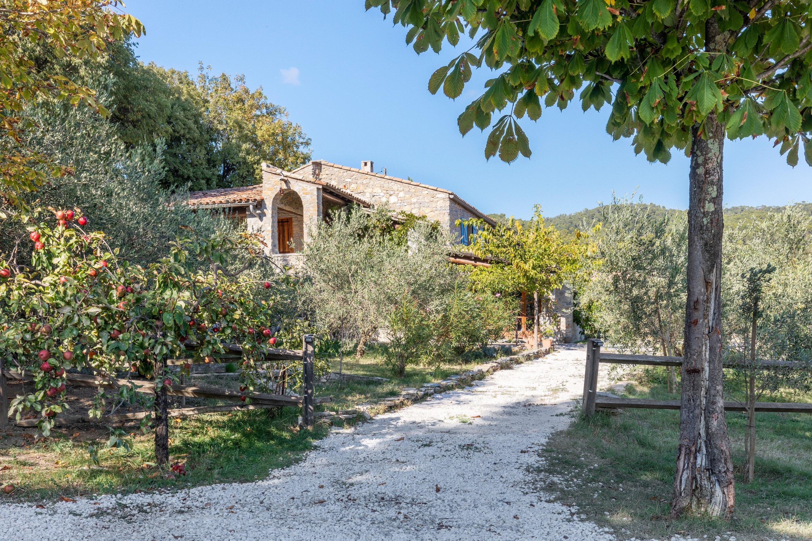  Exceptional properties in the heart of Pic Saint-Loup - 物件實景