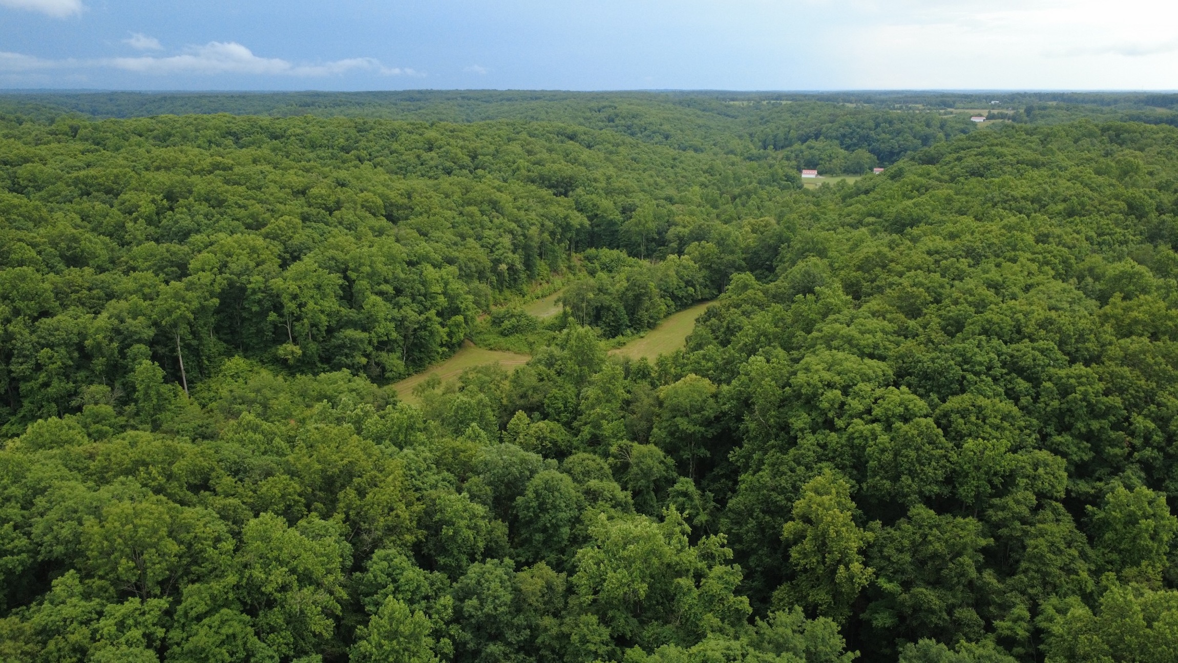  7075 Pinewood Rd, Nunnelly, TN, 37137 - 物件實景