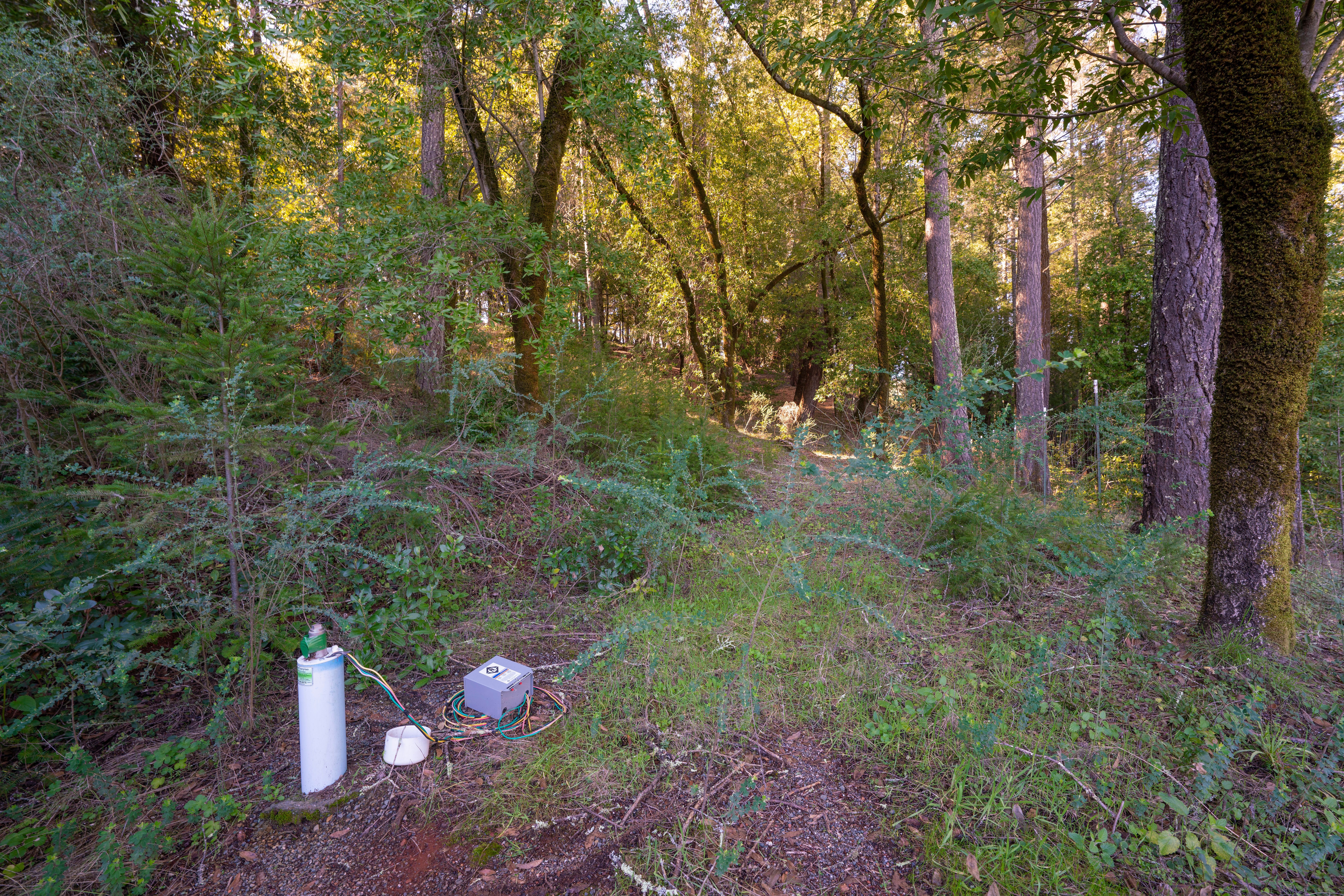  3210 West Dry Creek Road, Healdsburg, CA 95448 - 物件實景