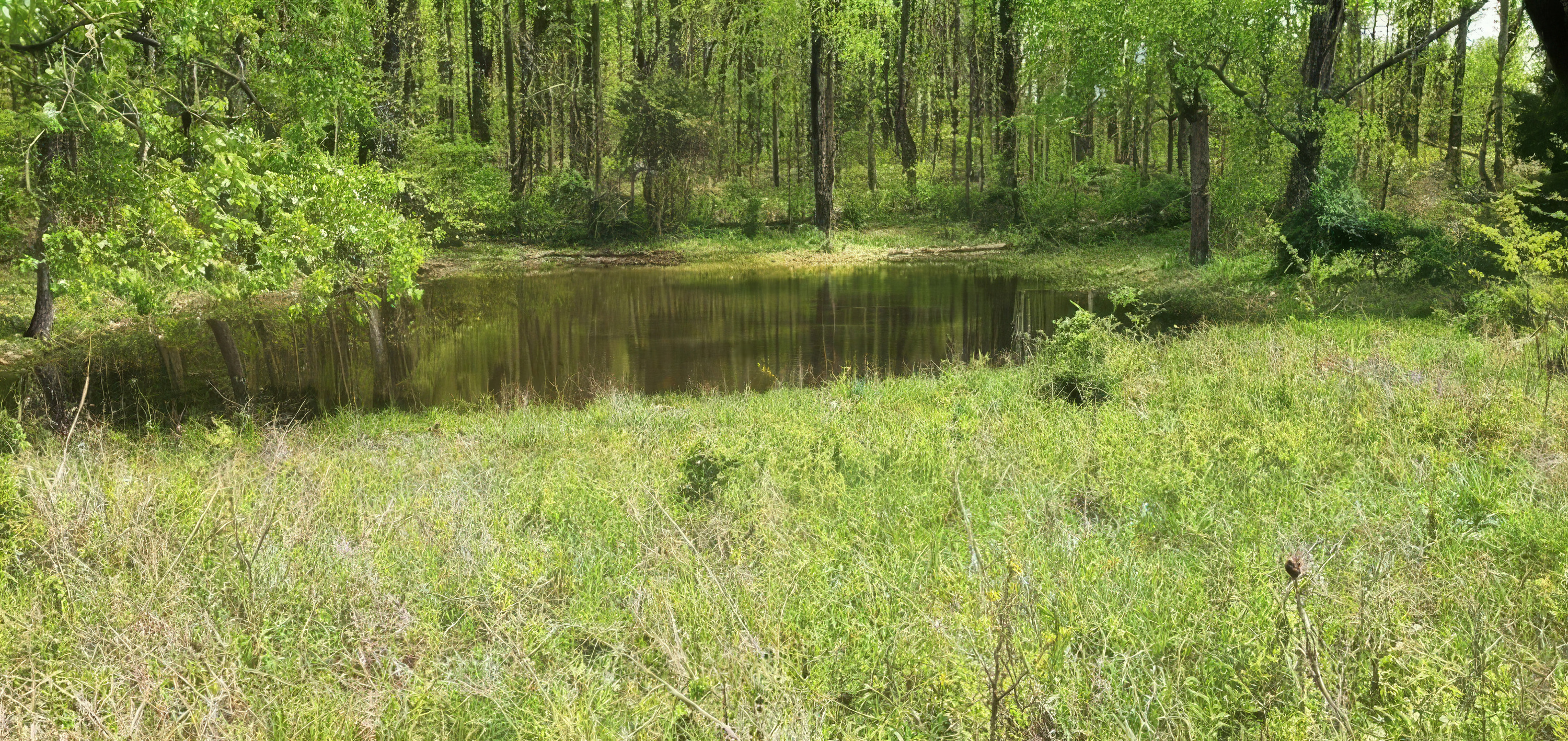  3850 Smith Lane, La Grange, KY 40031 - 物件實景