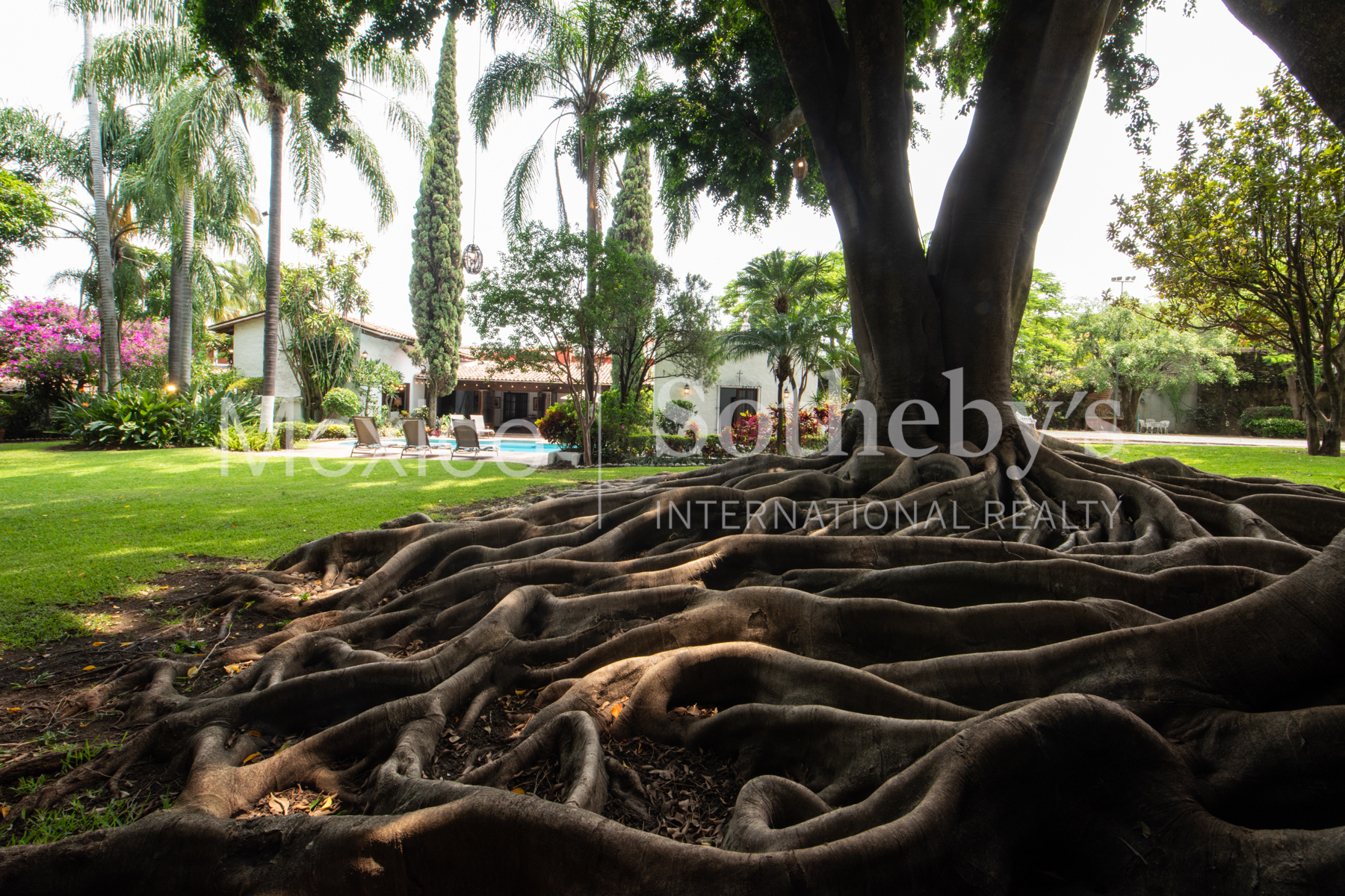  La Joya Cuernavaca - 物件實景