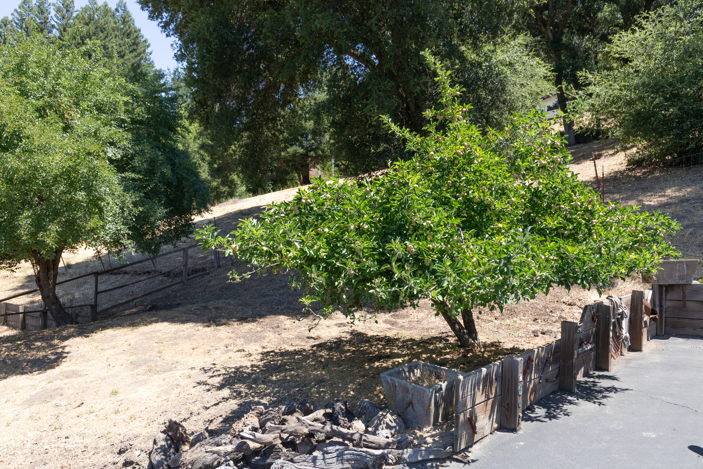 Boulder Creek, California, 95006, United States, 2 Bedrooms Bedrooms, ,3 BathroomsBathrooms,Residential,For Sale,1899975