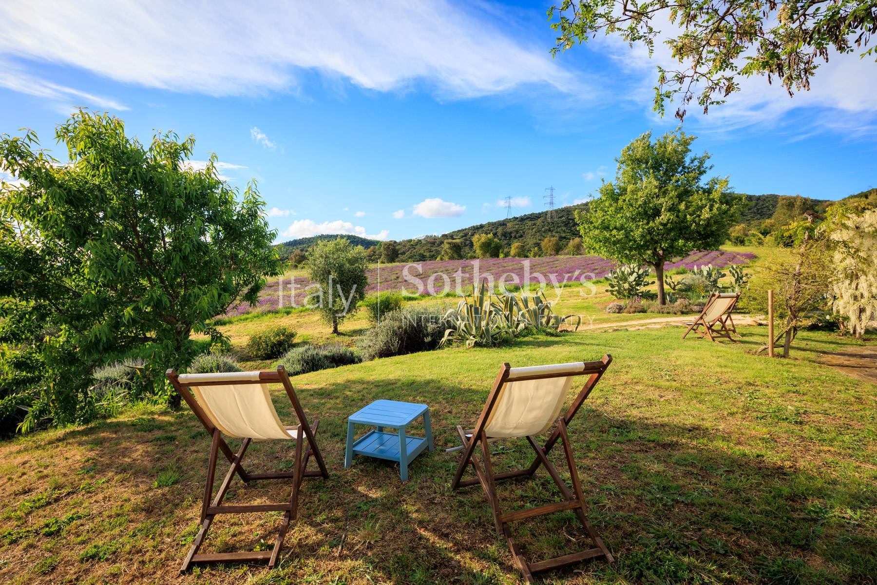  Magnificent estate close to Capalbio - 物件實景