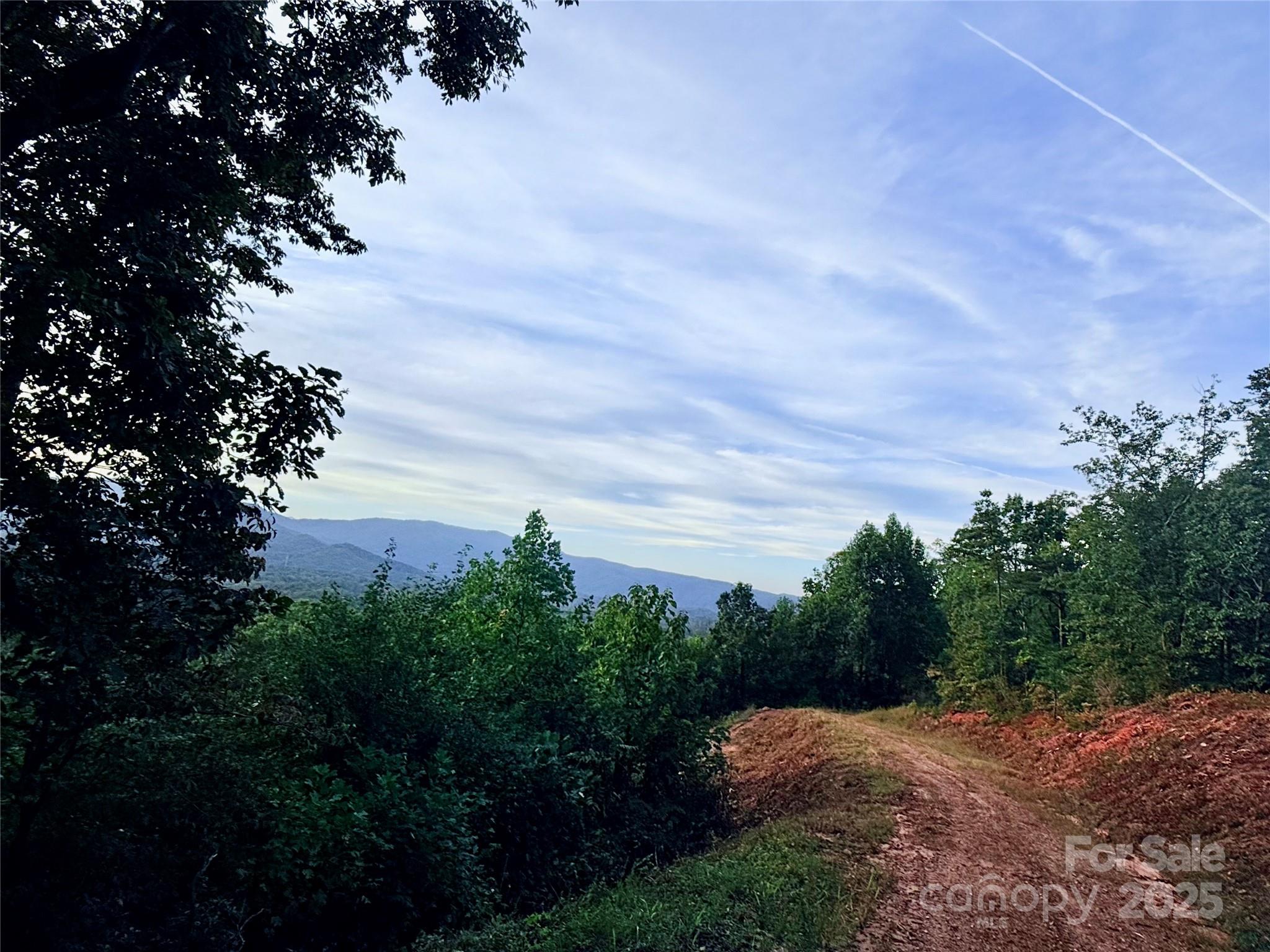 Union Mills, North Carolina, 28167, United States, ,Land,For Sale,1983809