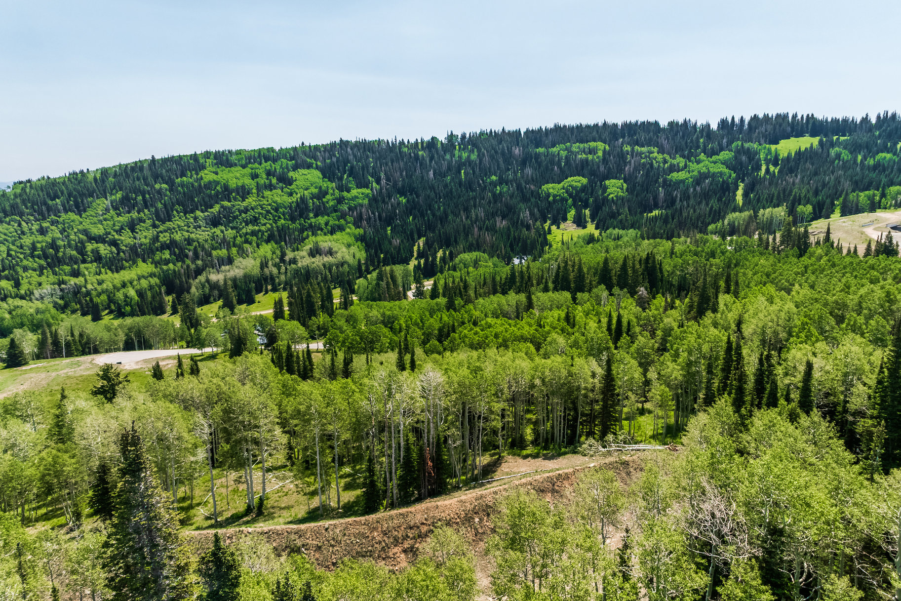  Incredible 28 Acre Estate Lot in the Colony at White Pine Canyon - 物件實景