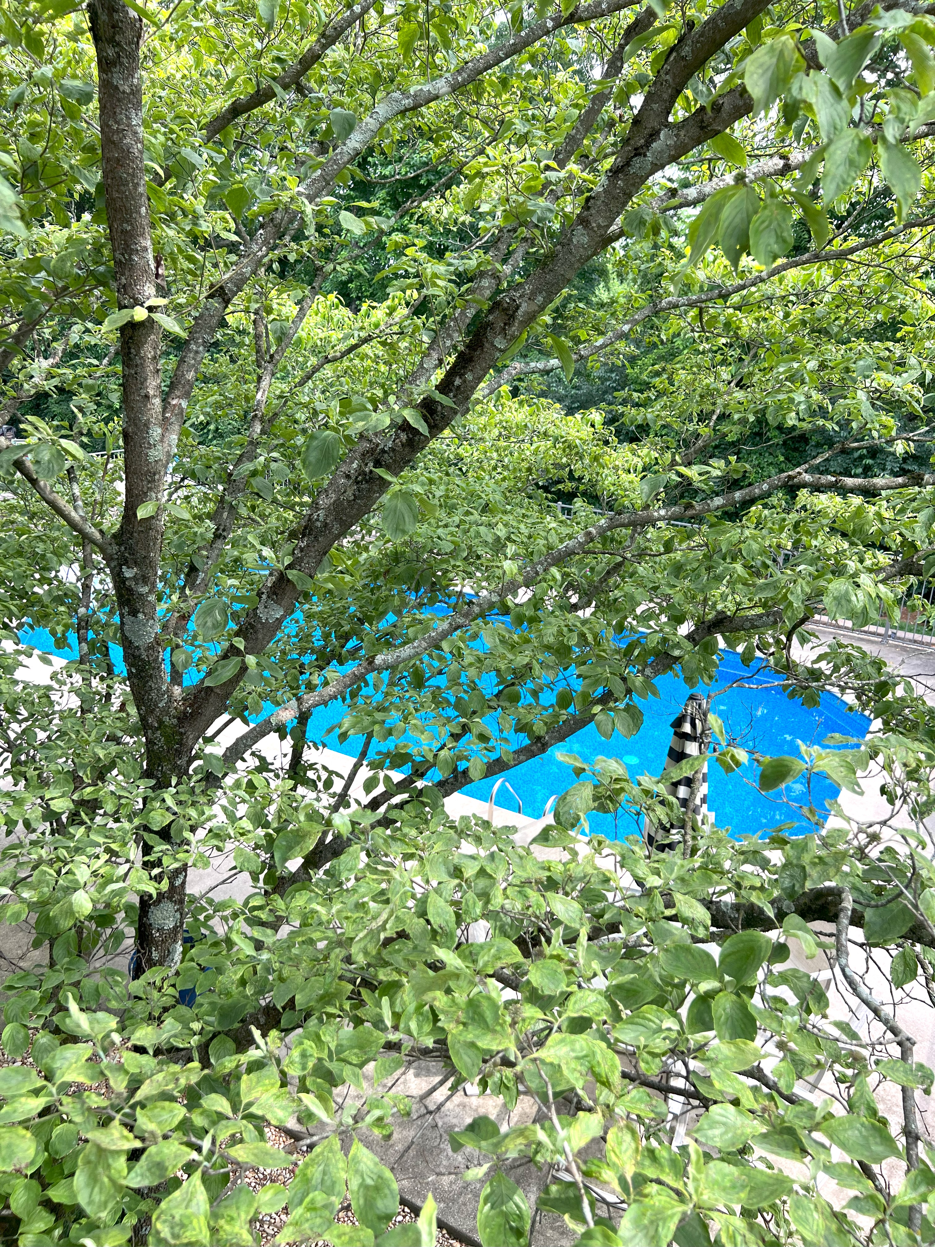 Frankfort, Kentucky, 40601, United States, 5 Bedrooms Bedrooms, ,4 BathroomsBathrooms,Residential,For Sale,1983551