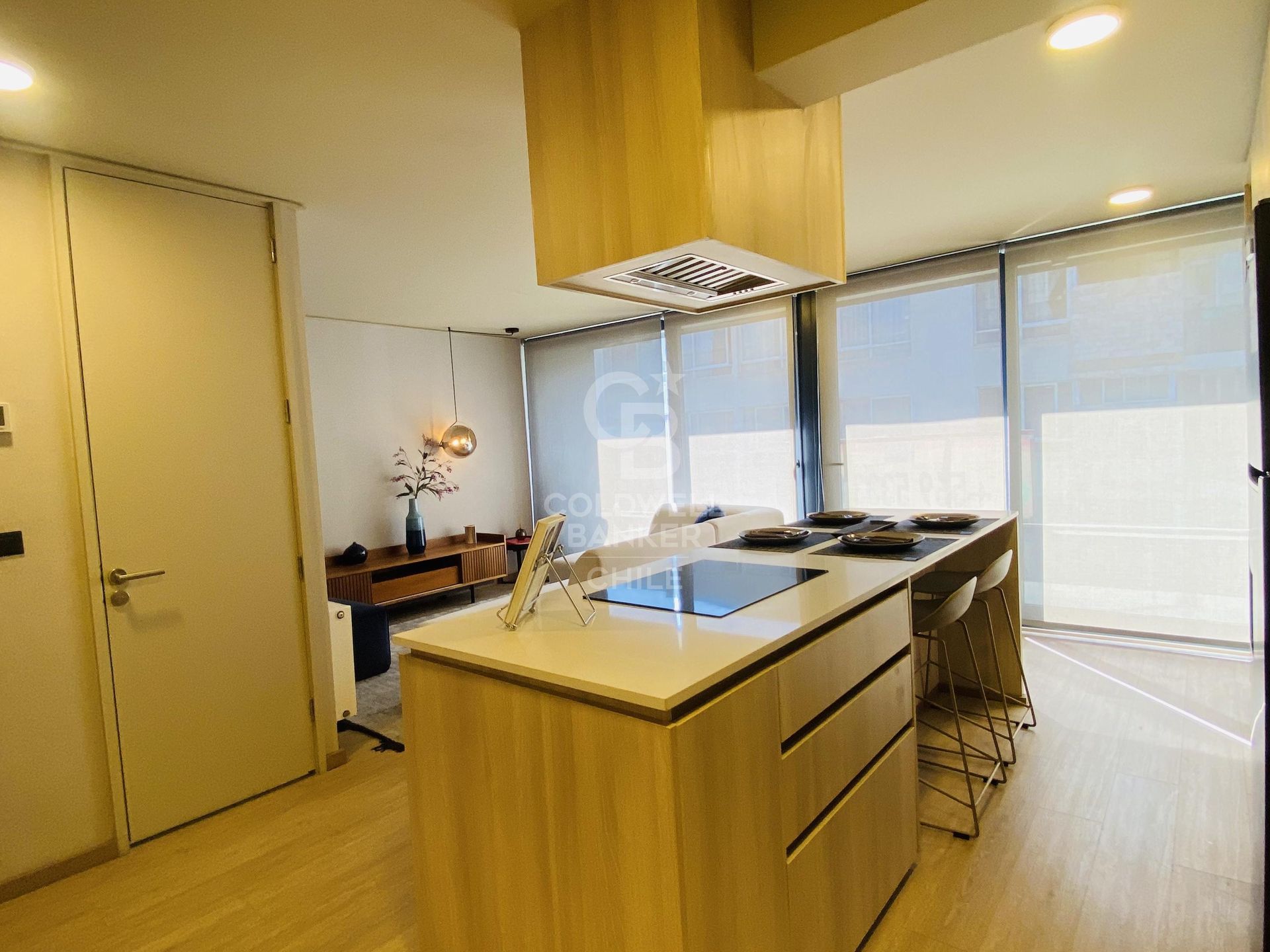 Providencia, Chile, 2 Bedrooms Bedrooms, ,3 BathroomsBathrooms,Residential,For Sale,1752496