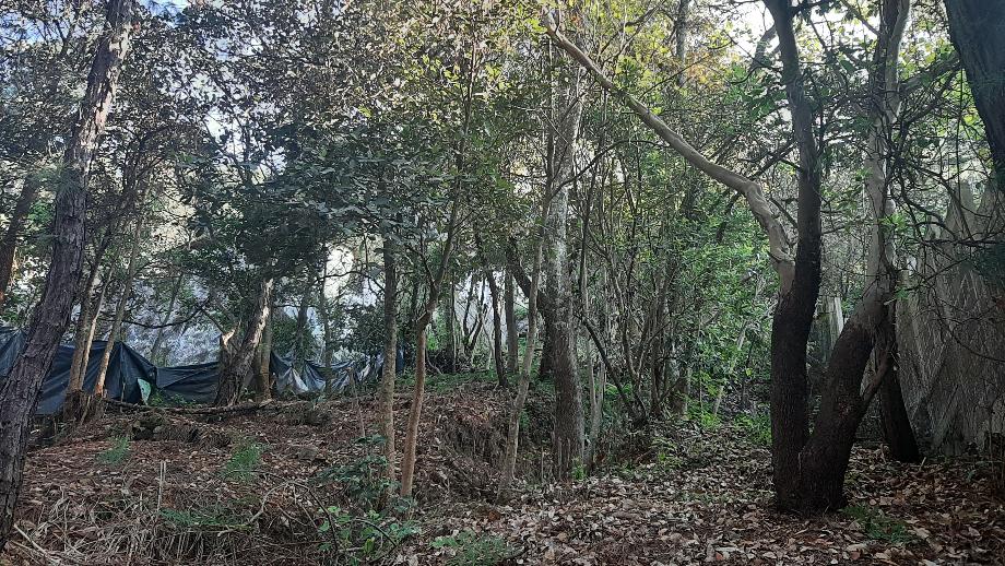 Valle de Bravo, Estado de méxico, 51200, Mexico, 1 Bedroom Bedrooms, ,Residential,For Sale,1721509