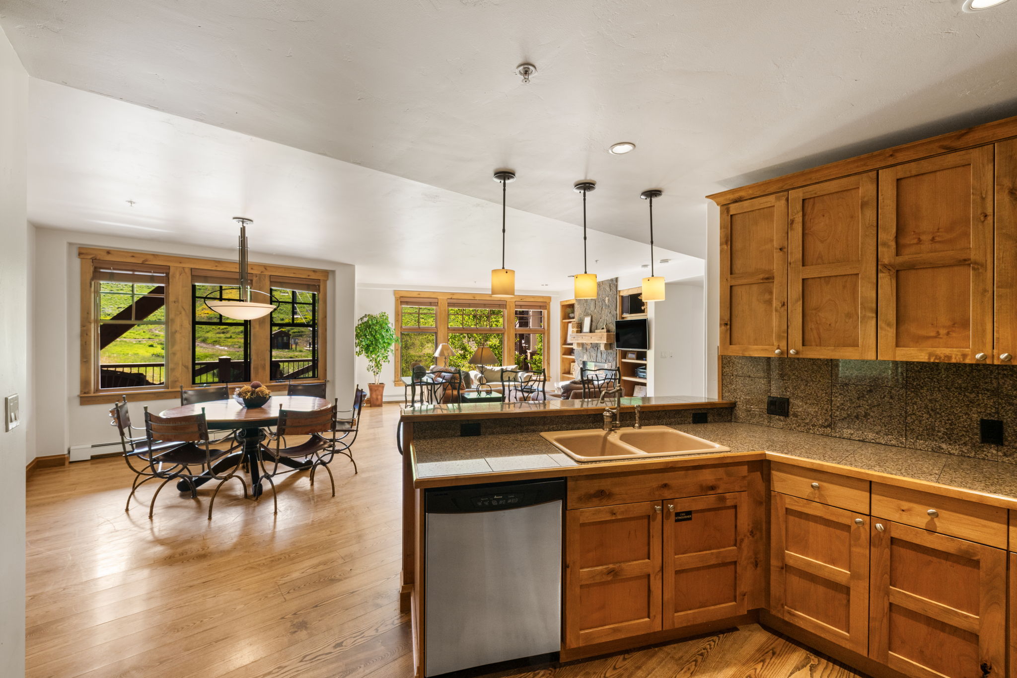  Slopeside Living at the Base of Crested Butte Mountain - 物件實景