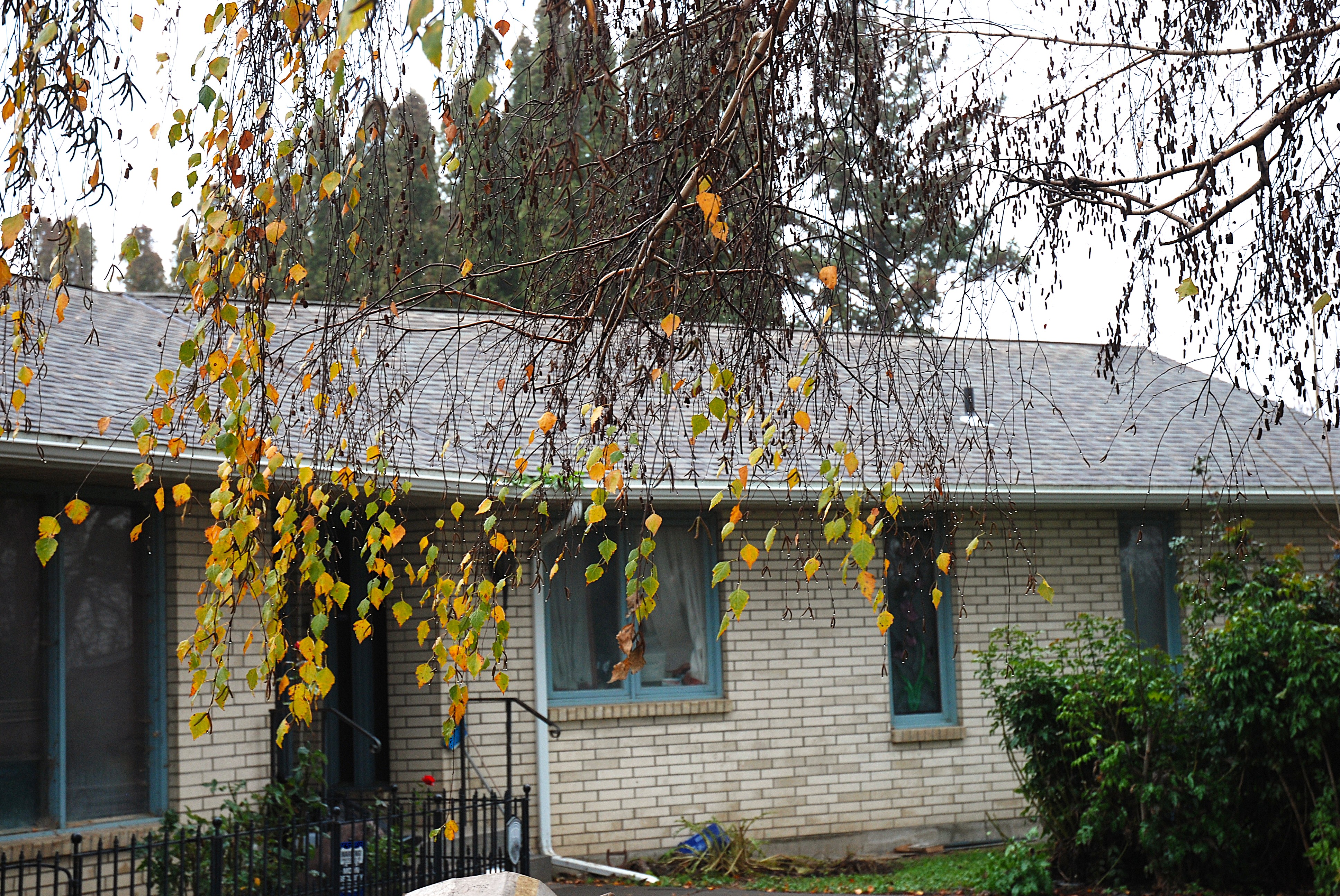 Warden, Washington, 98857, United States, 4 Bedrooms Bedrooms, ,1 BathroomBathrooms,Residential,For Sale,2006383