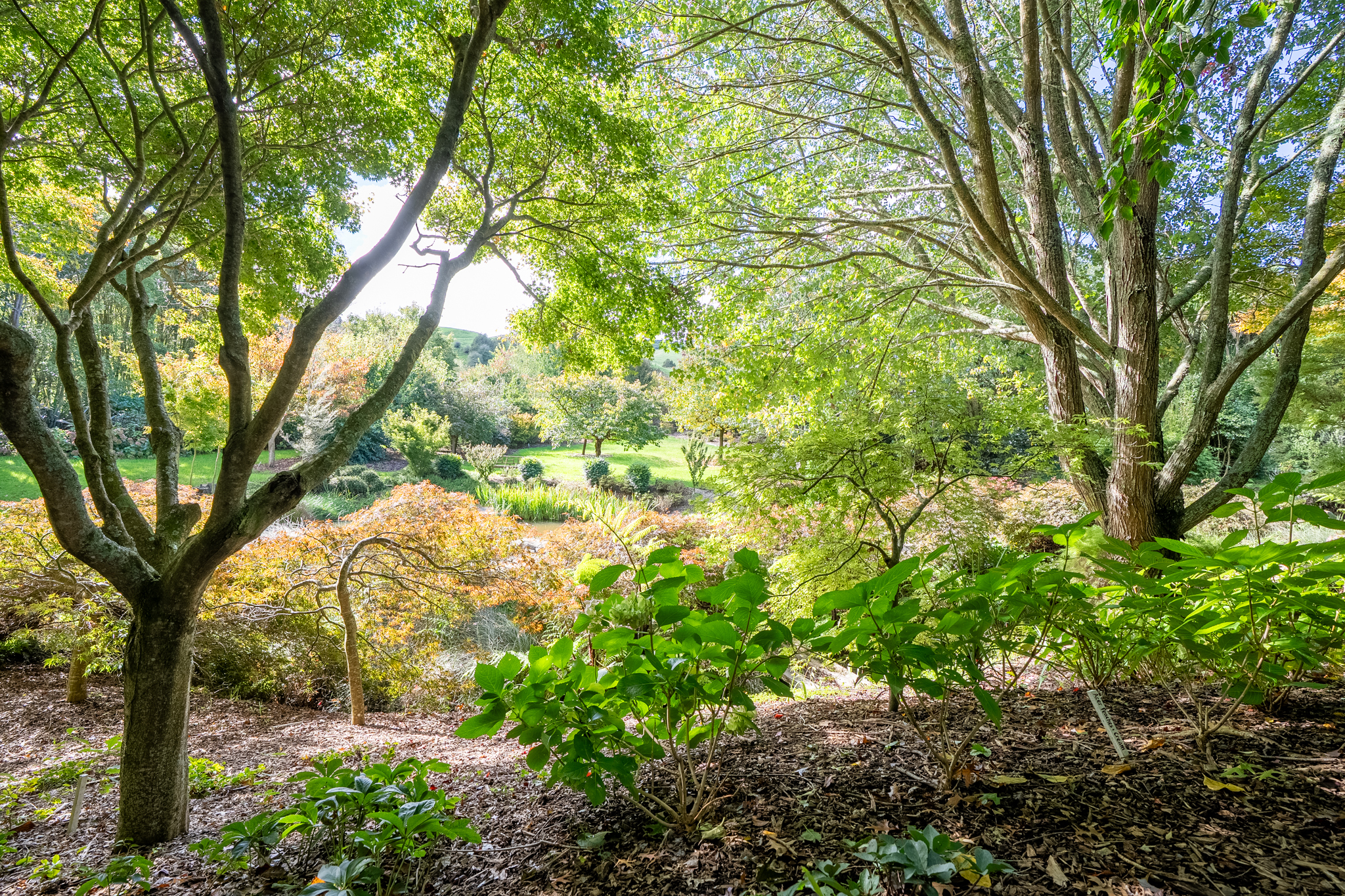  What Dreams are Made of and Memories are Made - 物件實景