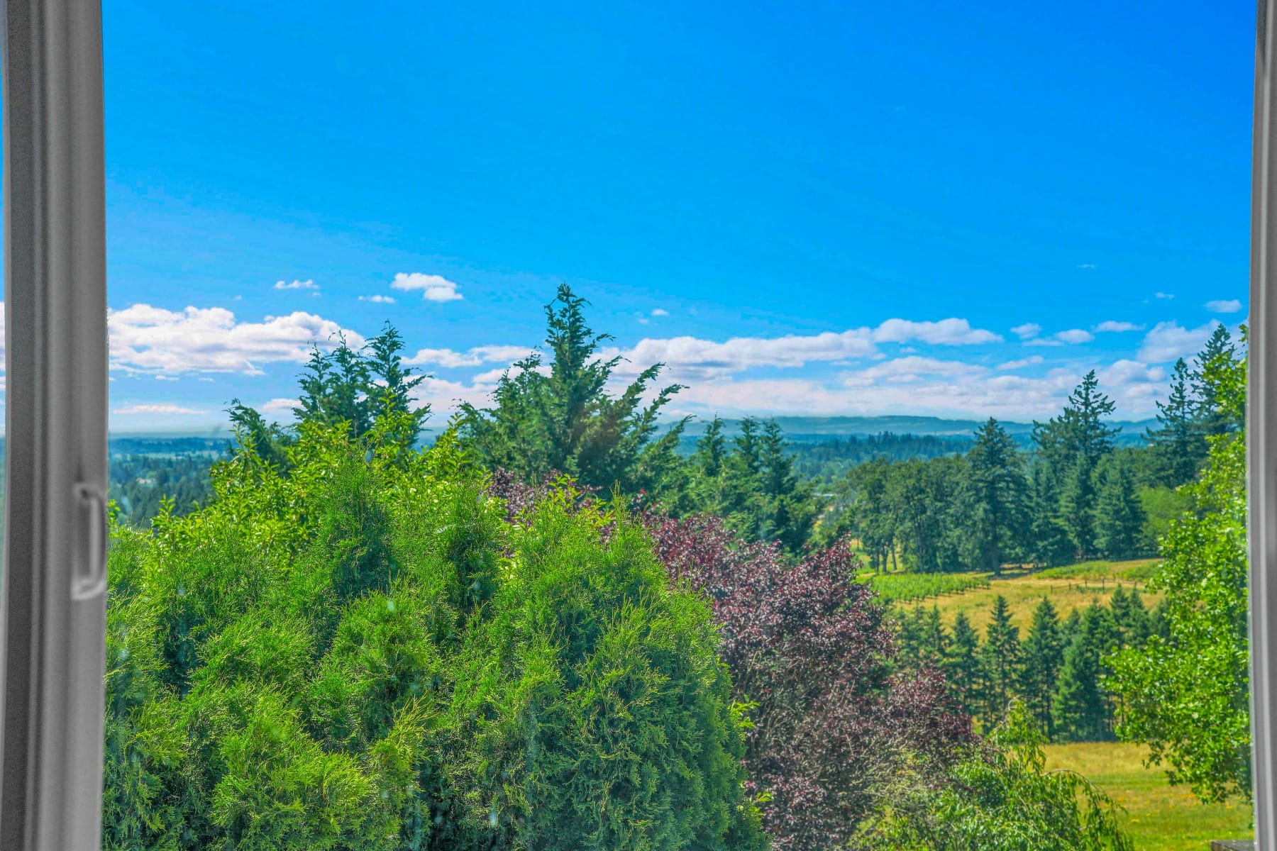  27100 NE BELL RD Newberg, OR 97132 - 物件實景