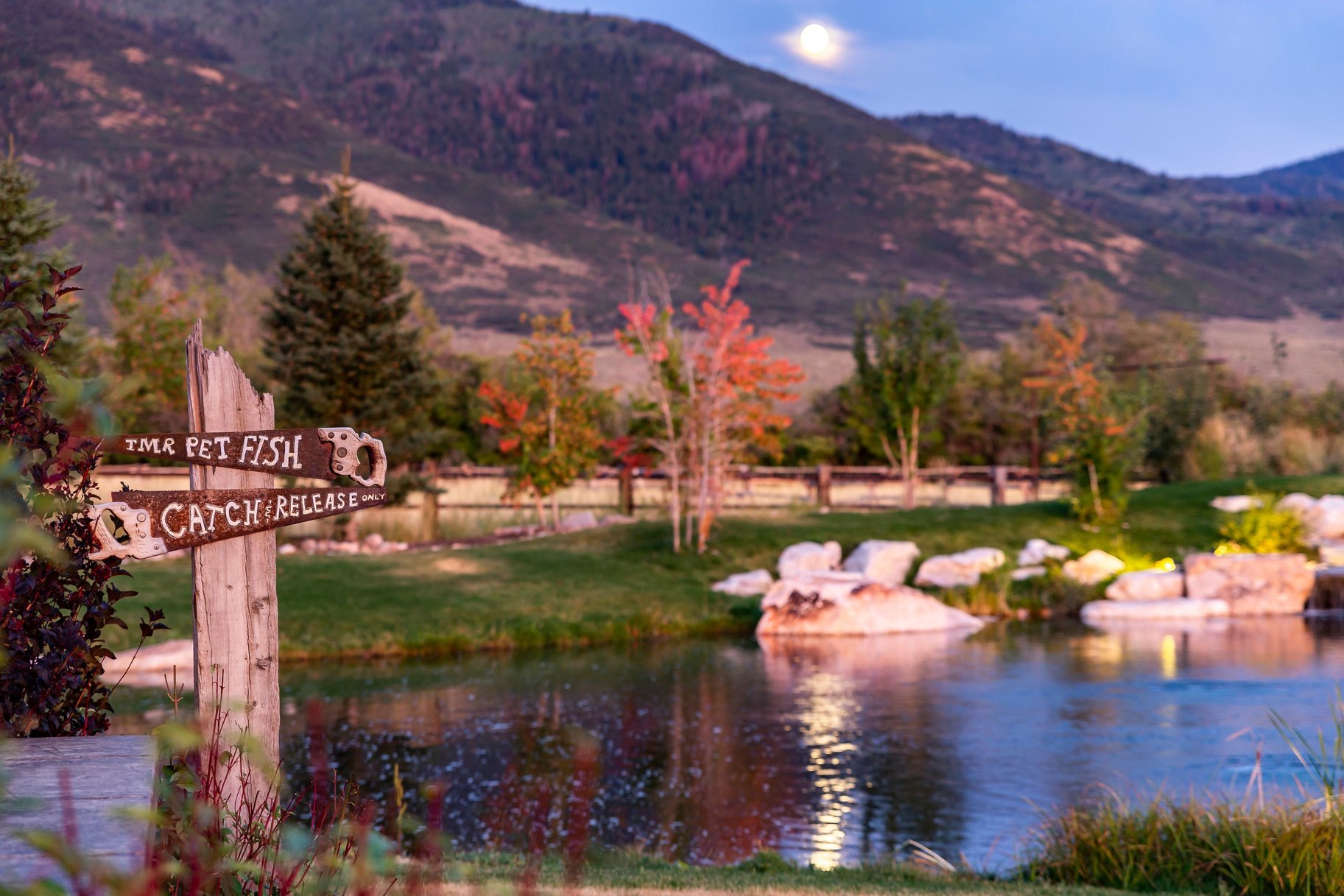  Twilight Moon Ranch on 8 Acres - 物件實景