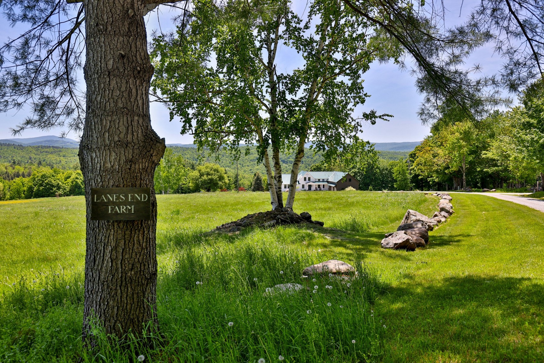  514 Robinson Road - 物件實景