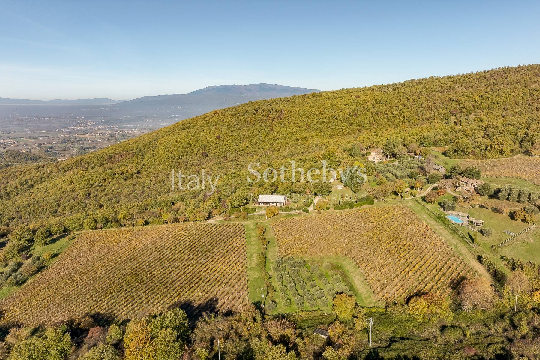  Enchanting estate nestled in the hills of Tuscany - 物件實景