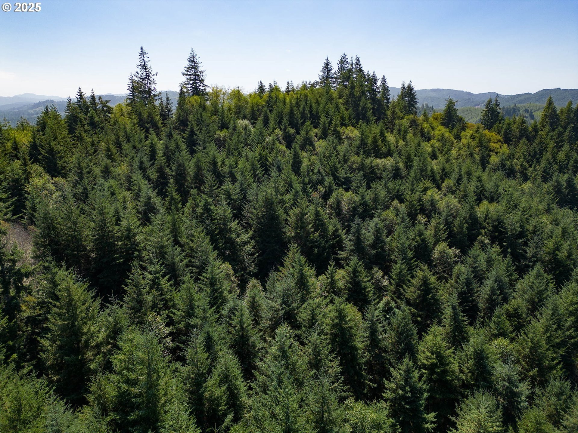 Myrtle Point, Oregon, 97458, United States, 3 Bedrooms Bedrooms, ,3 BathroomsBathrooms,Residential,For Sale,1975614