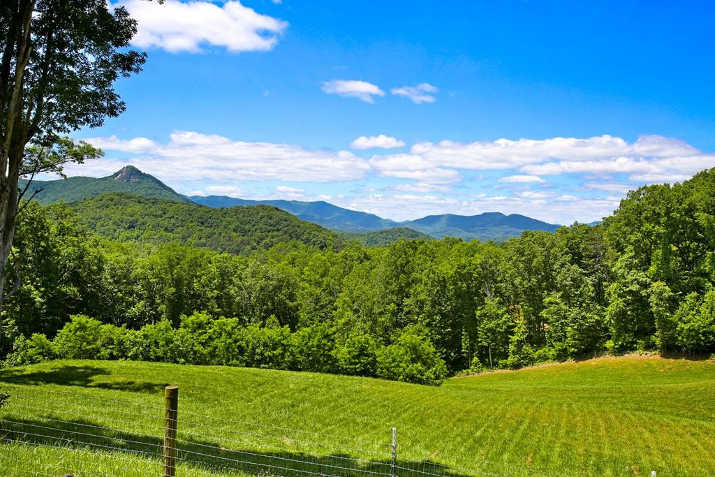 2899 Gribble Edwards Road, Hayesville, North Carolina, 28904, United States, 4 Bedrooms Bedrooms, ,5 BathroomsBathrooms,Residential,For Sale,2899 Gribble Edwards Road,1478063