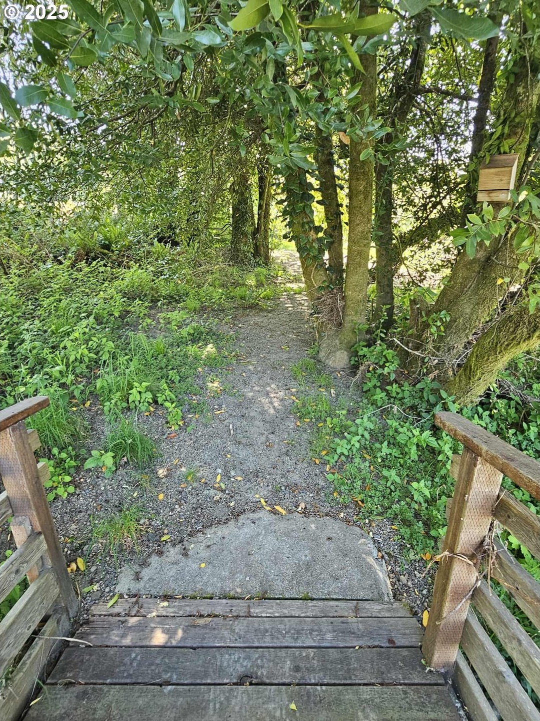 Brookings, Oregon, 97415, United States, 1 Bedroom Bedrooms, ,1 BathroomBathrooms,Residential,For Sale,1979383