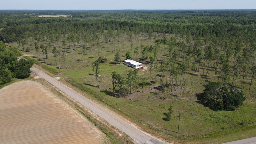 Cottonwood, Alabama, 36320, United States, ,Land,For Sale,1840022