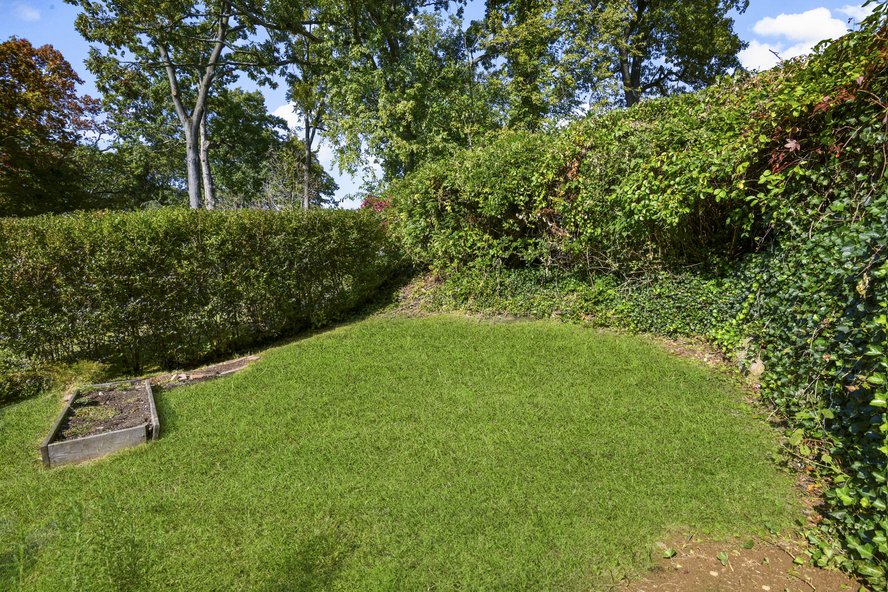 Sun-Filled Larchmont Woods Colonial - 物件實景