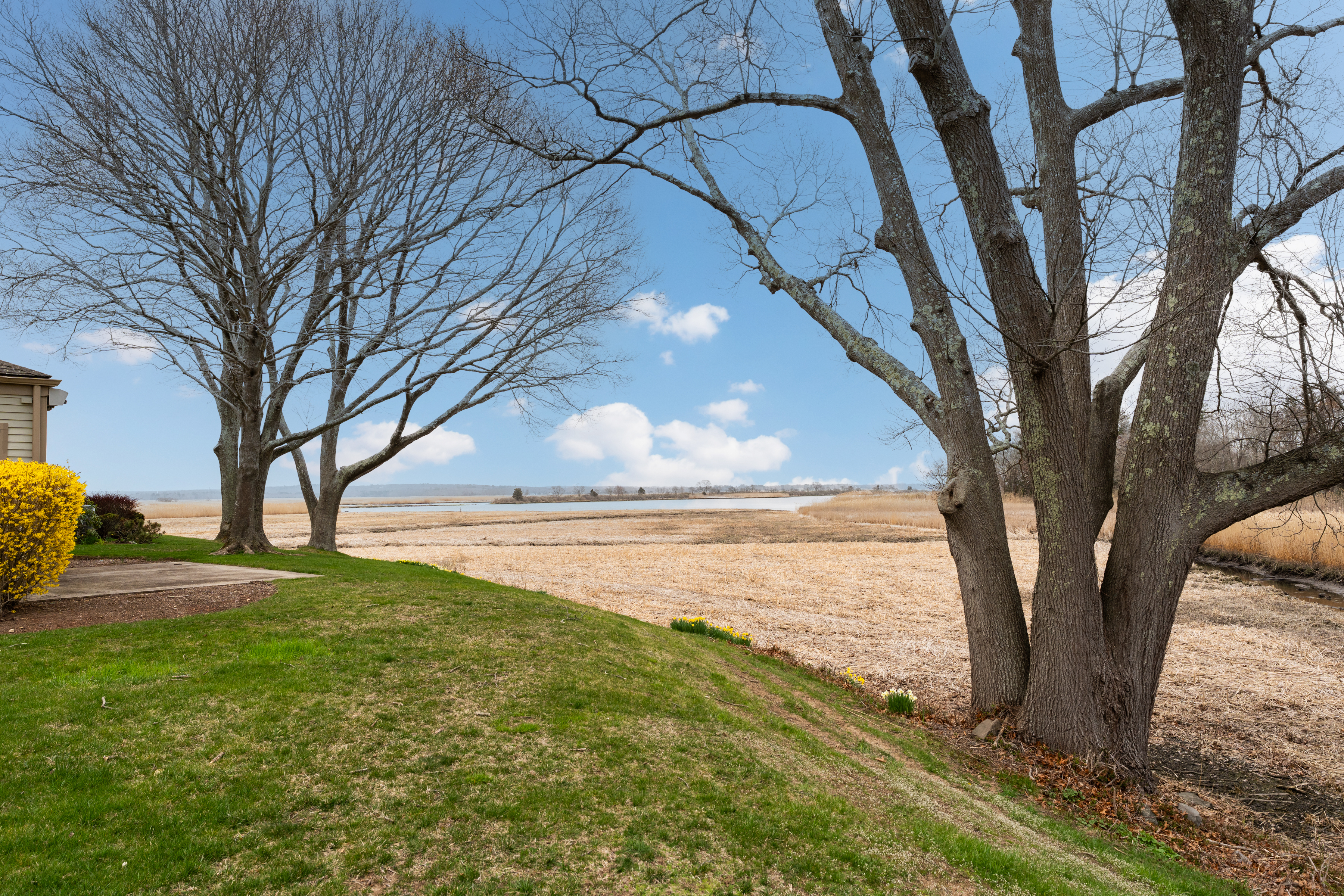  100 Dudley Avenue - 物件實景