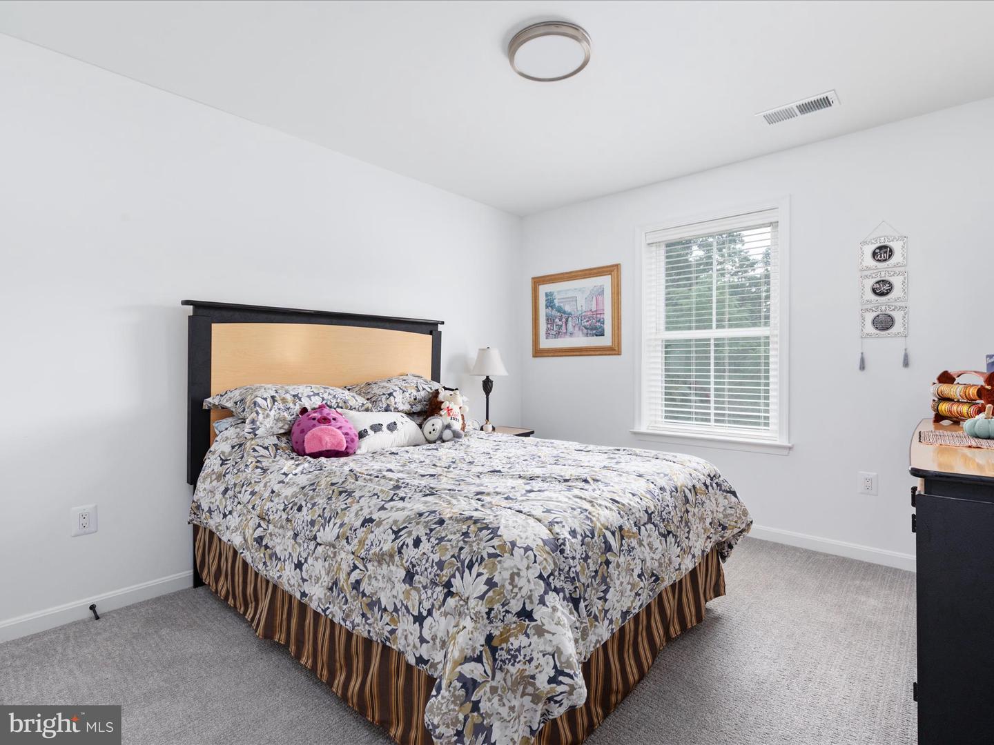 Winchester, Virginia, 22602, United States, 5 Bedrooms Bedrooms, ,5 BathroomsBathrooms,Residential,For Sale,1913787