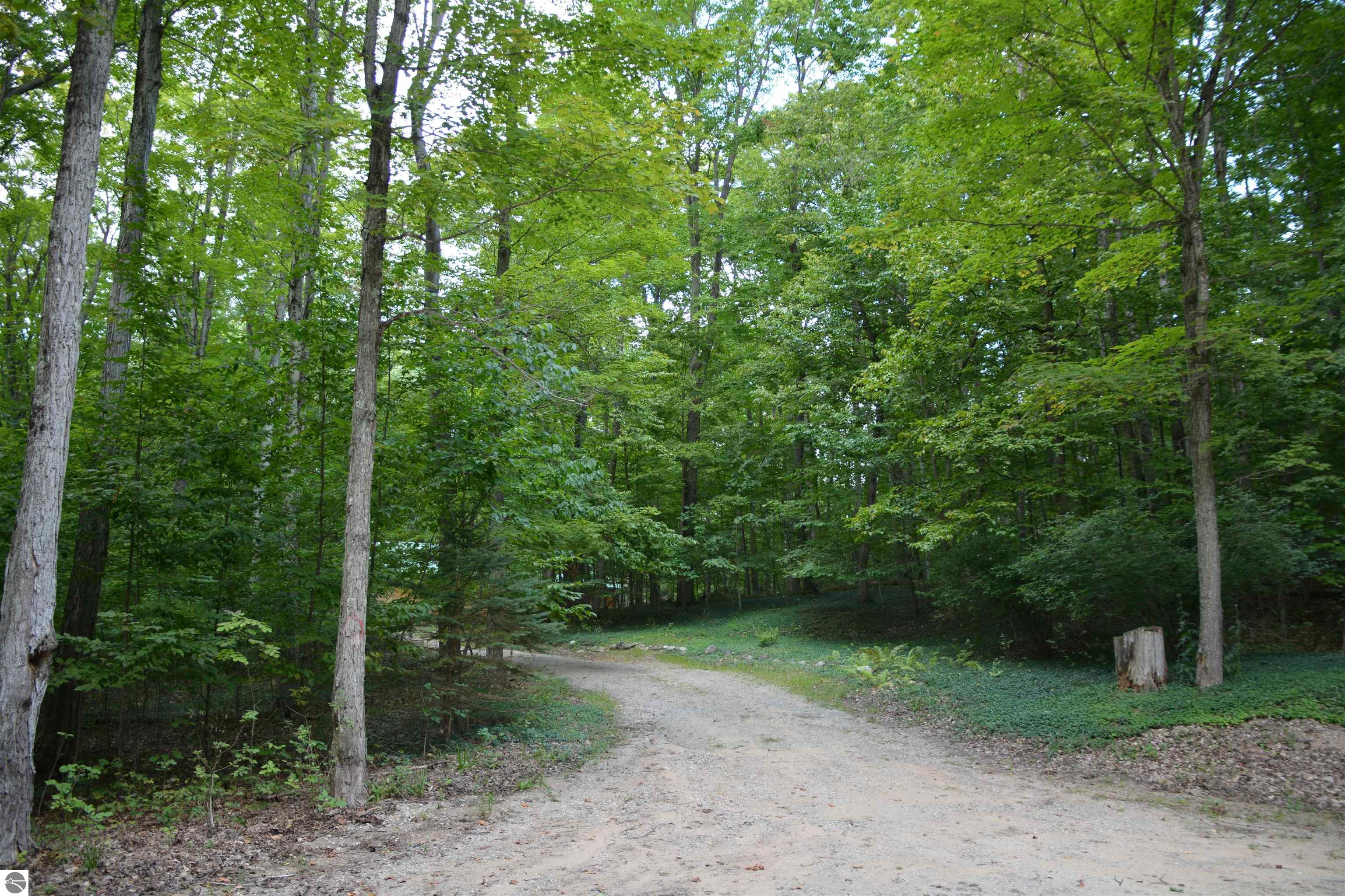 Lake Ann, Michigan, 49650, United States, 3 Bedrooms Bedrooms, ,1 BathroomBathrooms,Residential,For Sale,1941921
