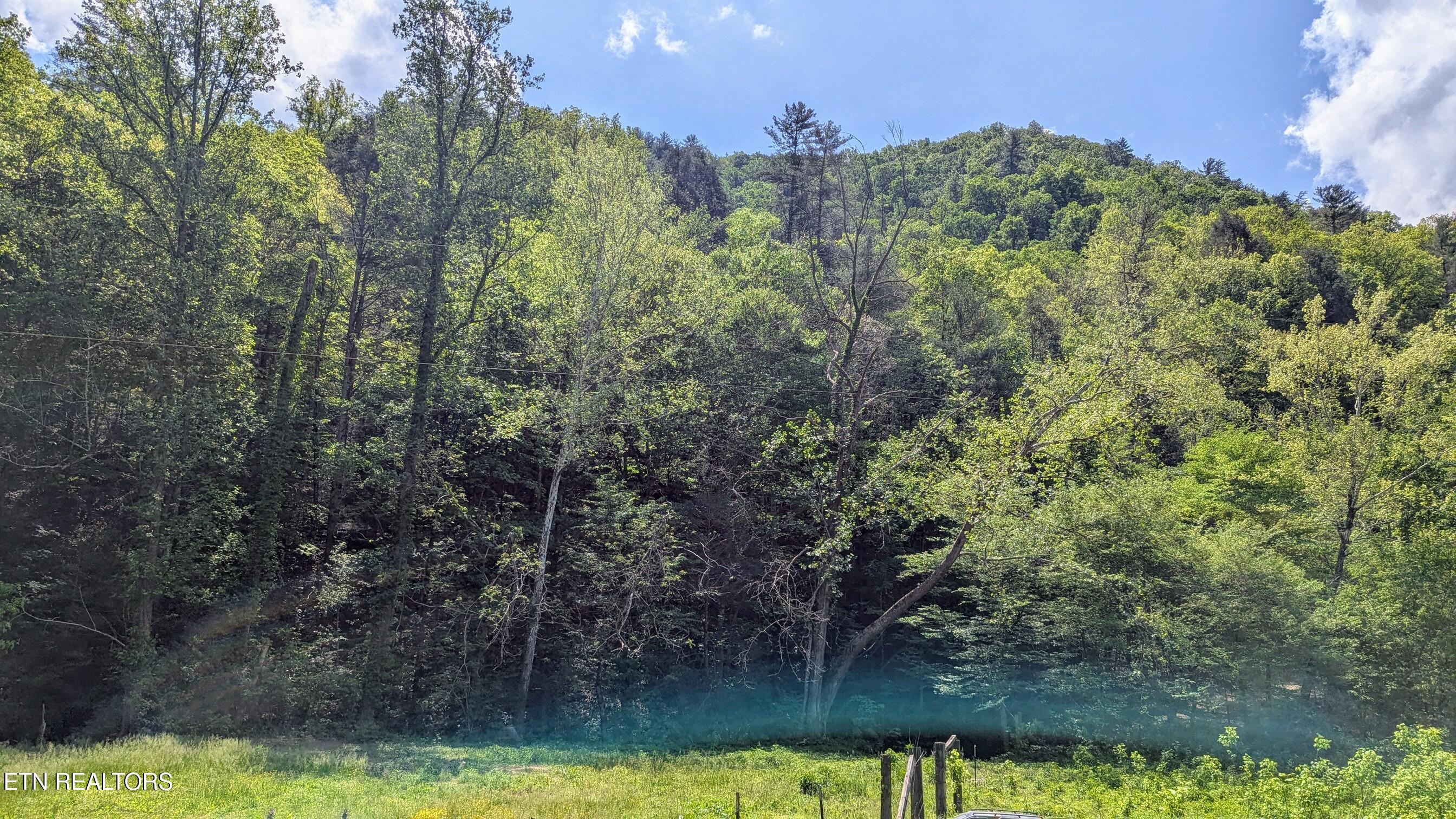 Townsend, Tennessee, 37882, United States, ,Land,For Sale,1978973