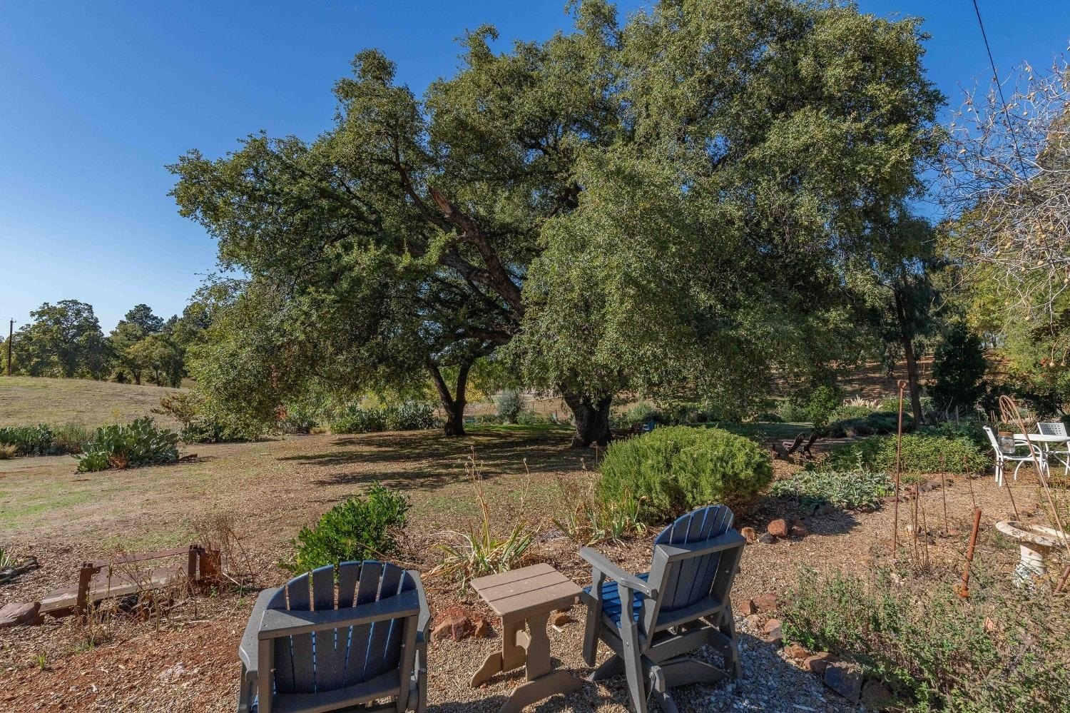 Mokelumne Hill, California, 95245, United States, 5 Bedrooms Bedrooms, ,3 BathroomsBathrooms,Residential,For Sale,1914362