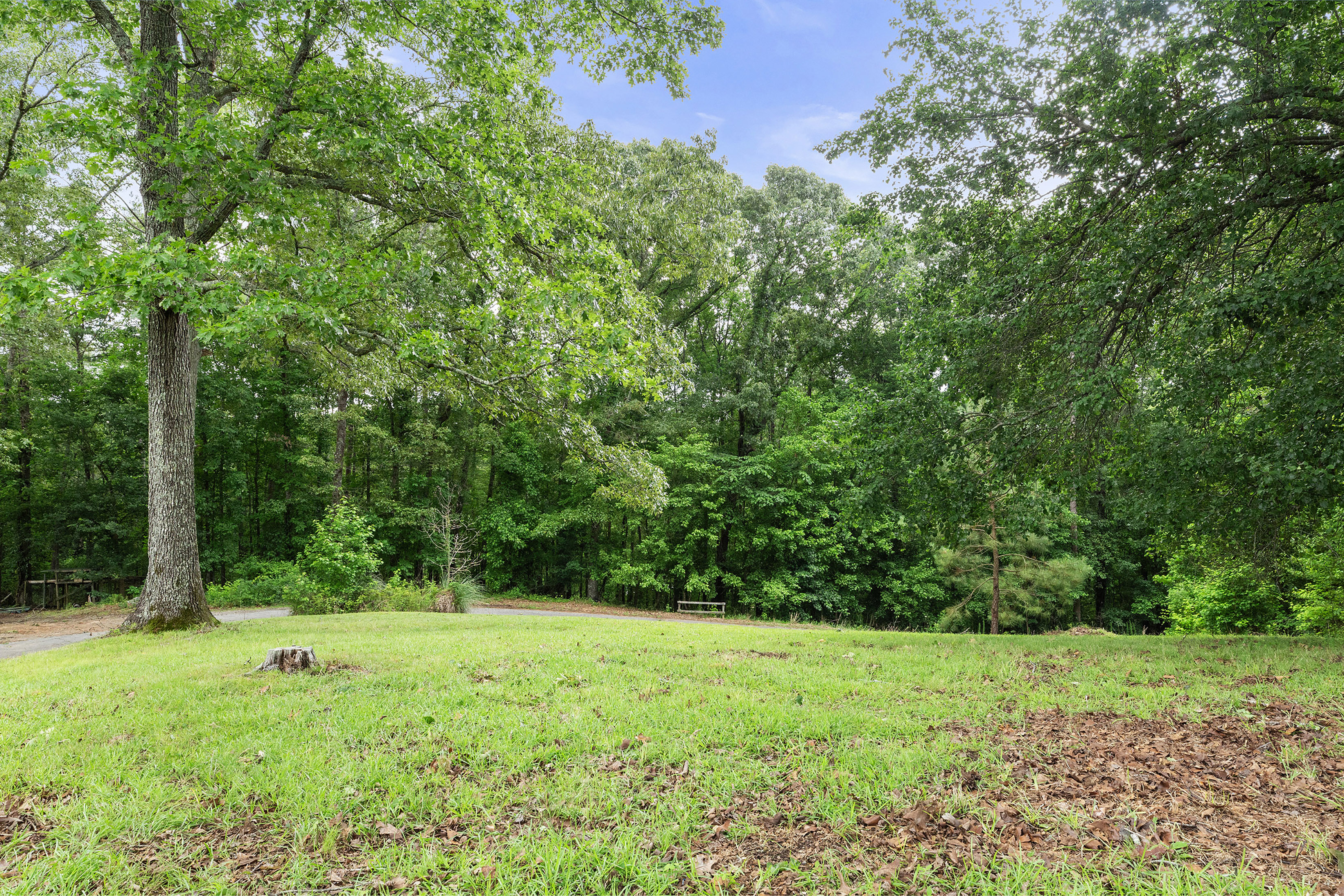  A Perfect Blend of Privacy and Natural Beauty in Newnan - 物件實景