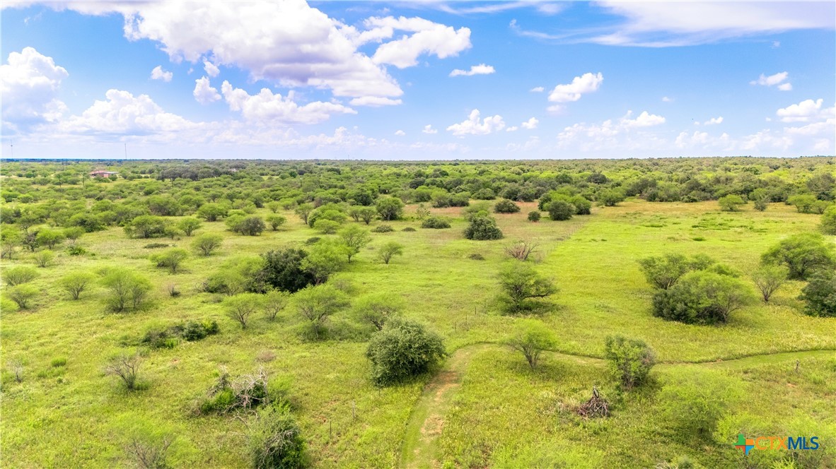 Nursery, Texas, 77976, United States, ,Land,For Sale,1988959