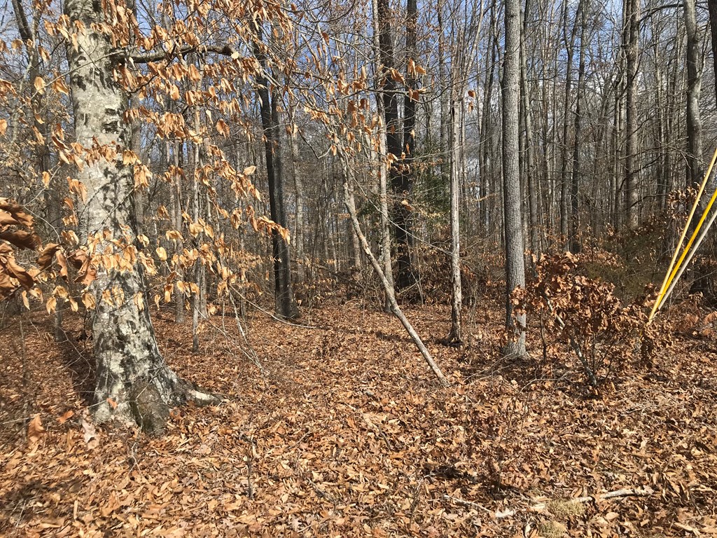 White Pine, Tennessee, 37890, United States, ,Residential,For Sale,1887225