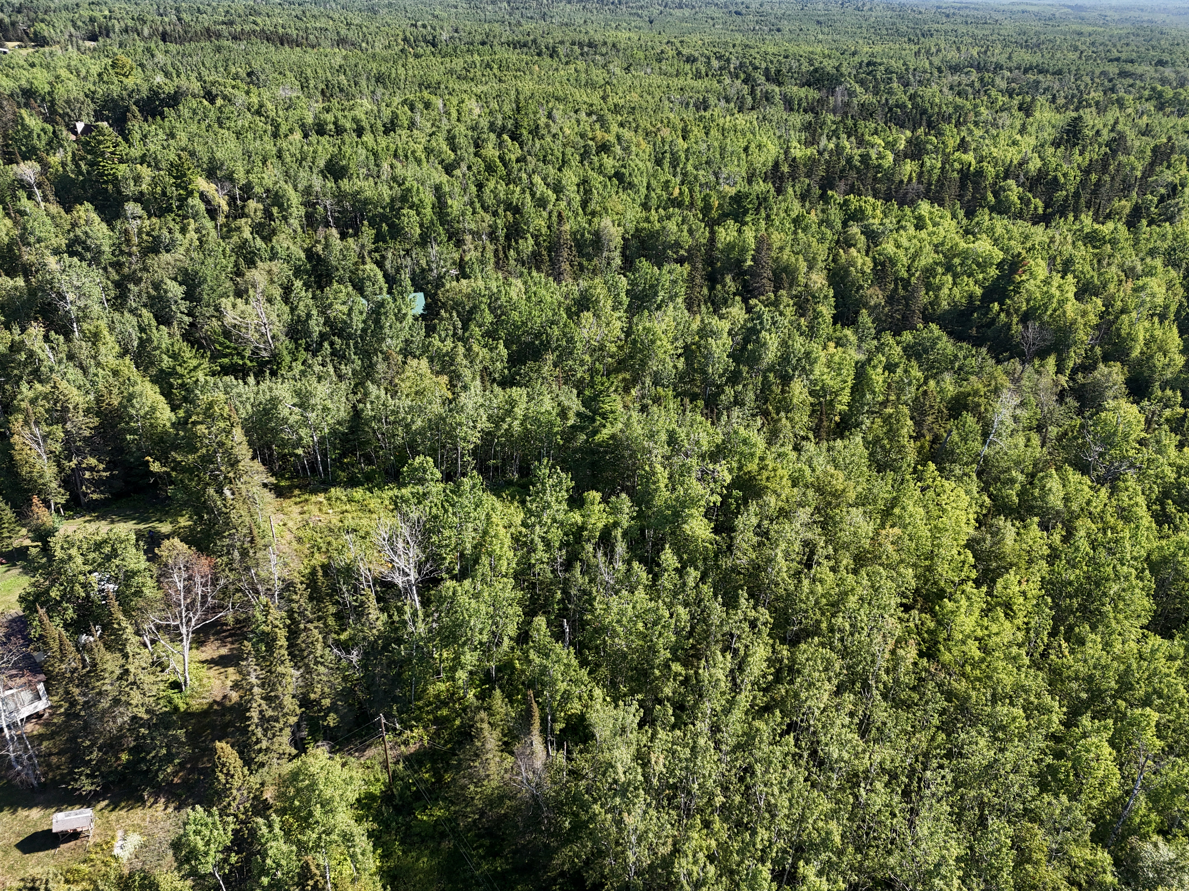  A Rare North Shore Homesite Near Grand Marais - 物件實景