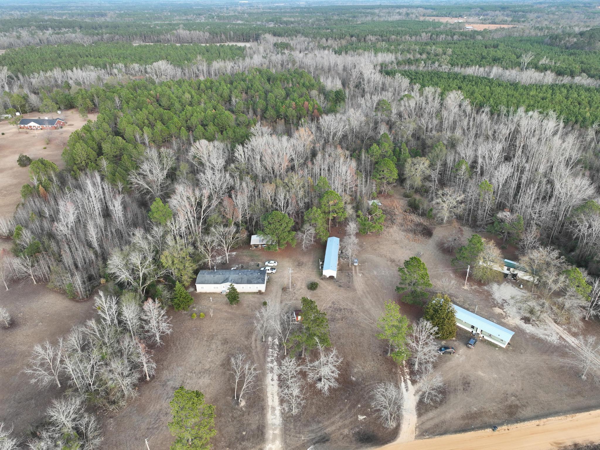 Mallard Rd, Cobbtown, GA 30420 #1