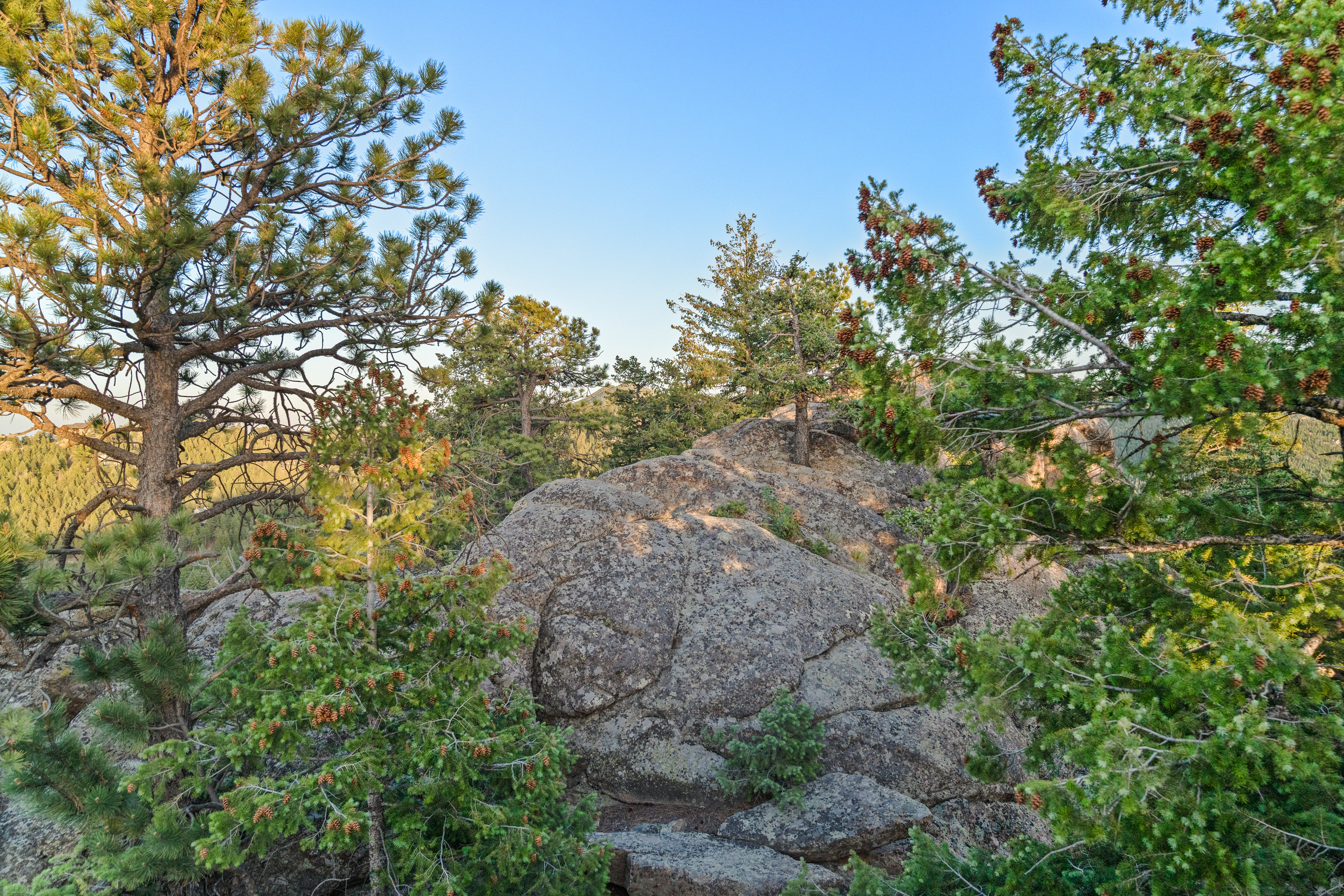  Acreage Available in Evergreen