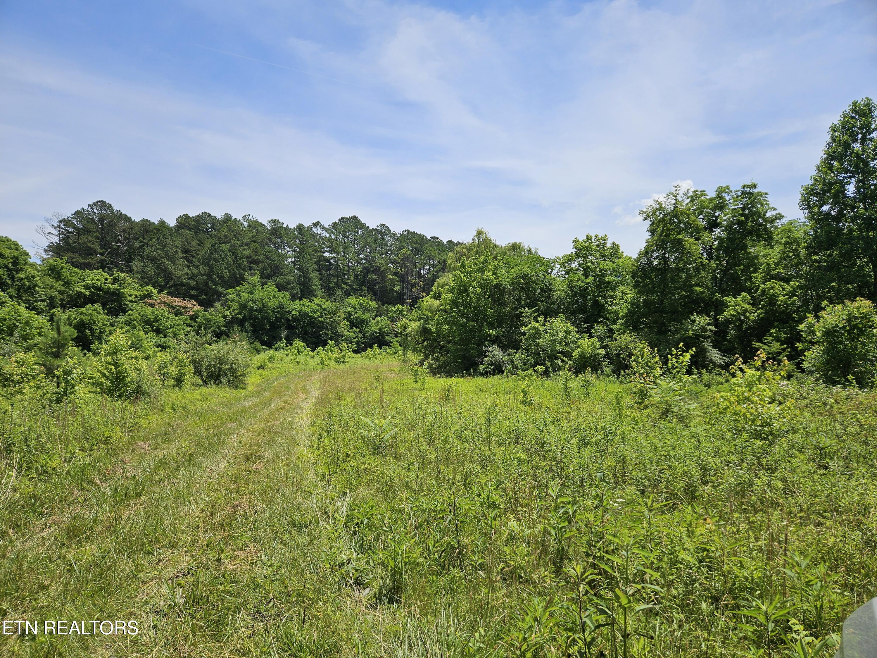 Maryville, Tennessee, 37803, United States, ,Land,For Sale,1976911