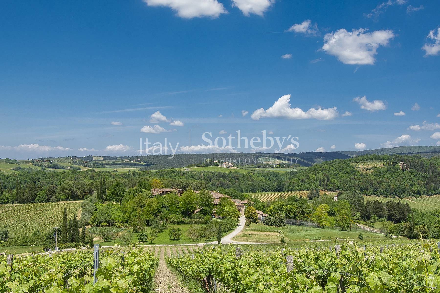  Esclusive wine estate in the heart of Chianti classico - 物件實景