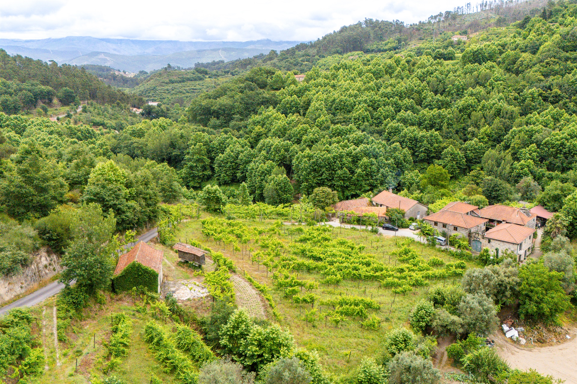  Farm, 3 bedrooms, for Sale - 物件實景