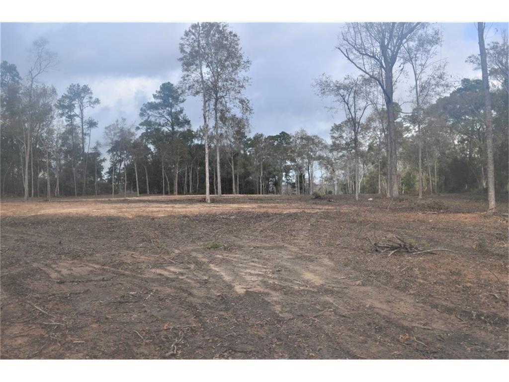 Lake Charles, Louisiana, 70601, United States, ,Land,For Sale,1975945