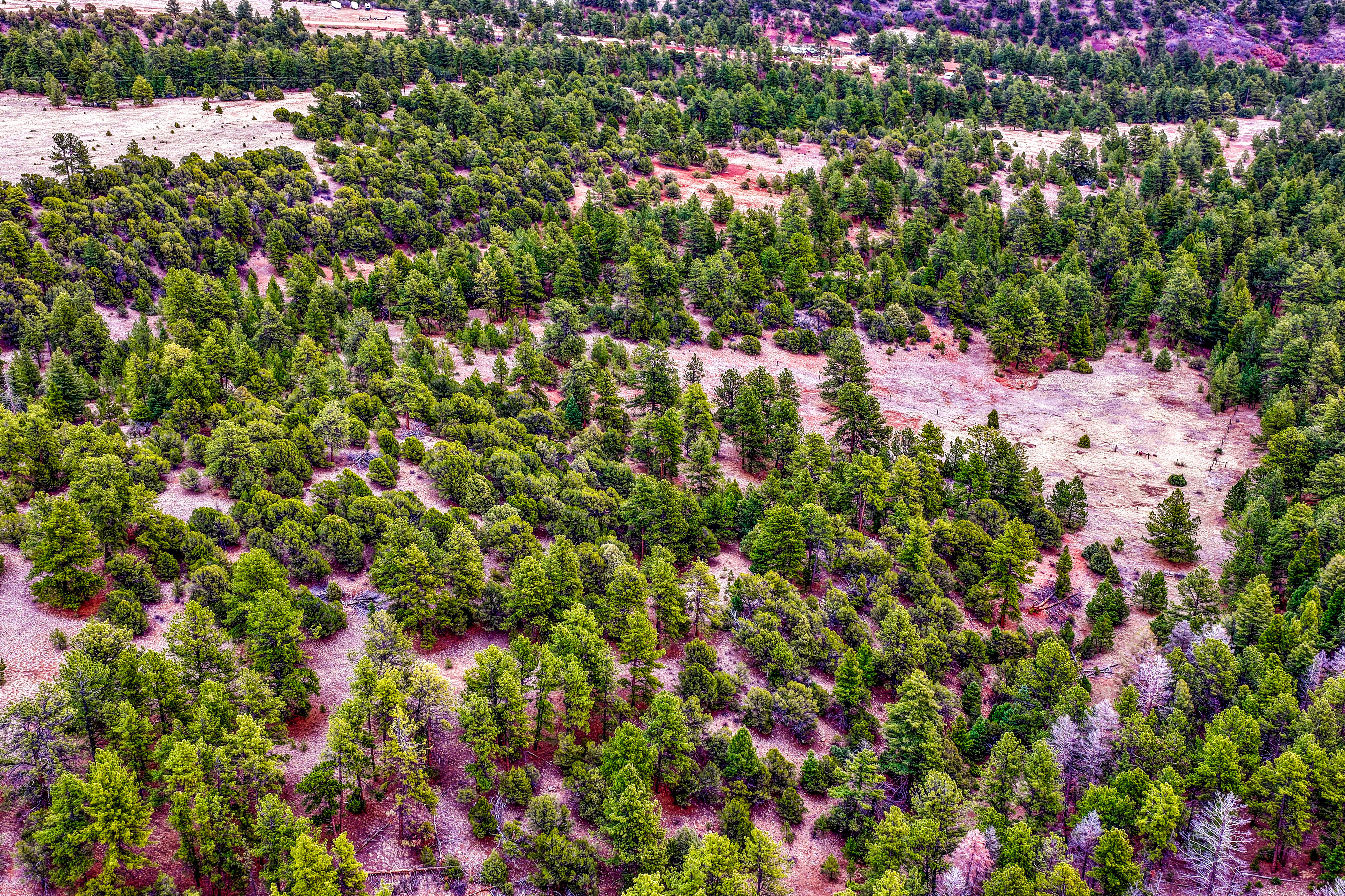  Spectacular 119 acre ranch tucked into a scenic mountain valley - 物件實景