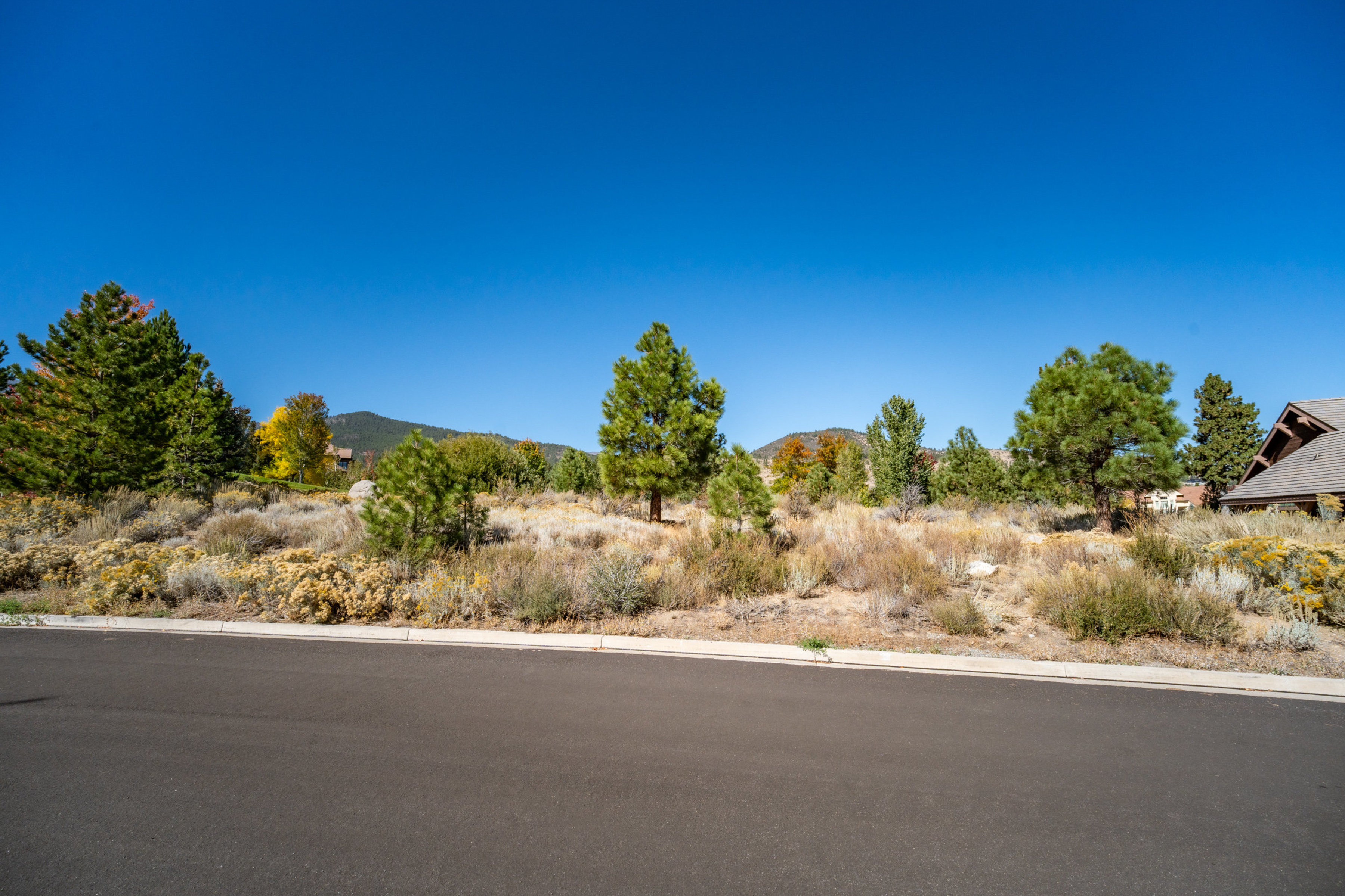  New to Market - 物件實景