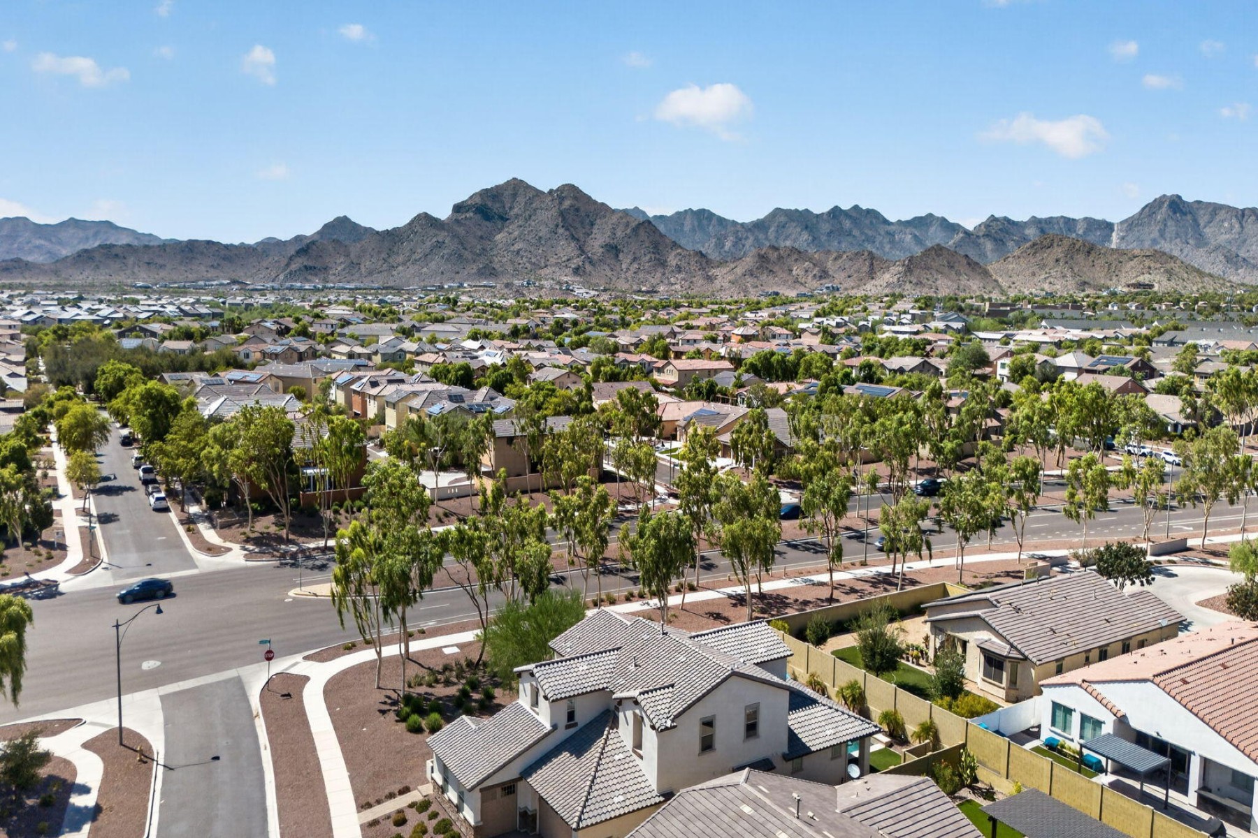  20668 W Park Meadows Drive, Buckeye, AZ 85396 - 物件實景