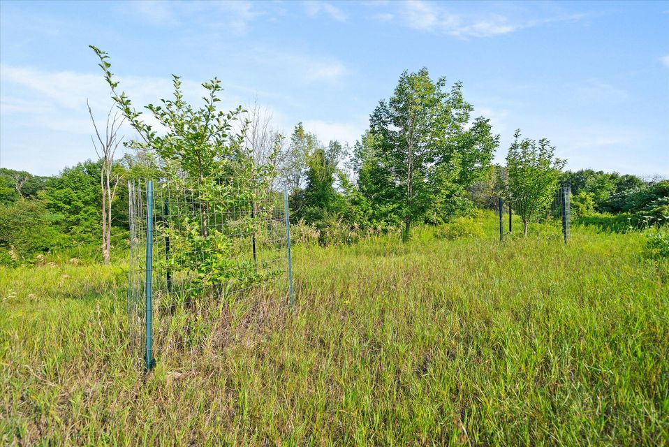 Rhine, Wisconsin, 53020, United States, ,Land,For Sale,1983397