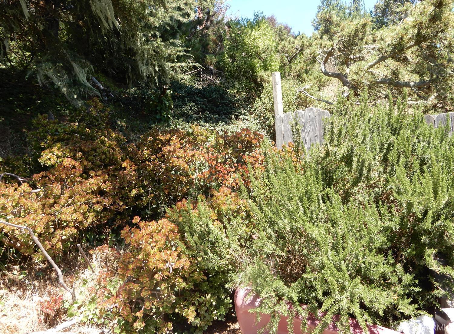 Daly City, California, 94015, United States, 3 Bedrooms Bedrooms, ,2 BathroomsBathrooms,Residential,For Sale,1914133