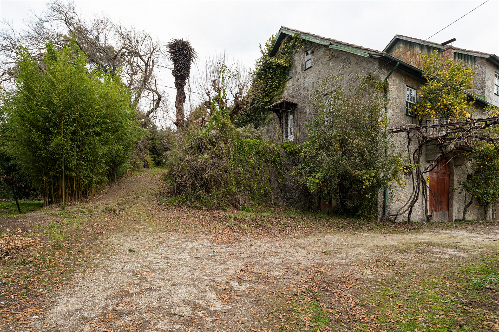  Small Farm, 4 bedrooms, for Sale - 物件實景