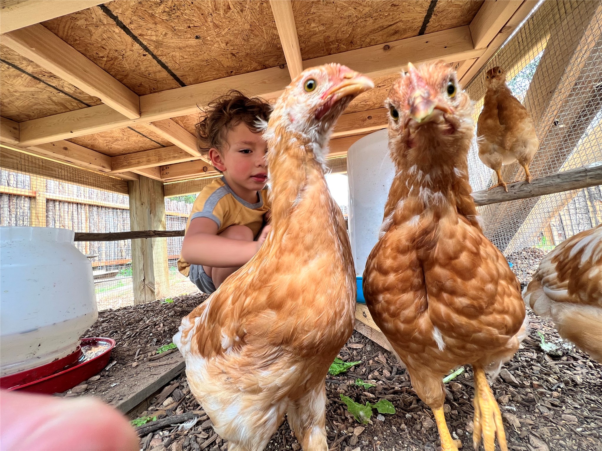  62 Encantado Loop - 物件實景