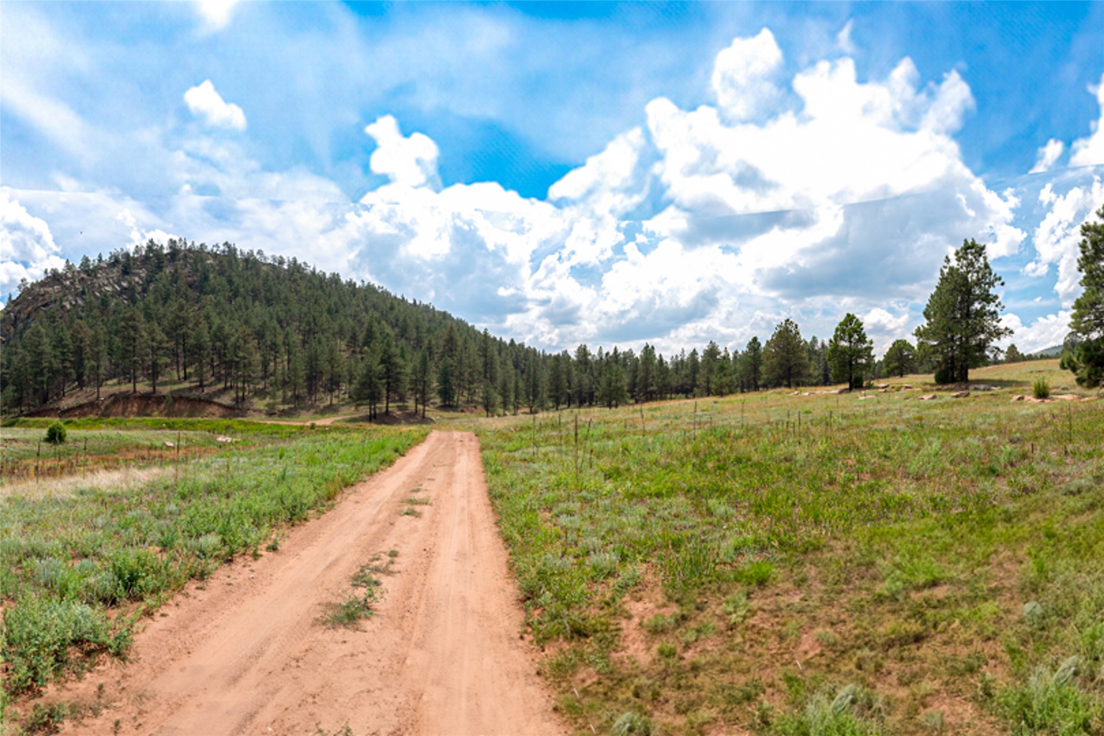  115 Blue Deer Ranch Road, B-109 - 物件實景